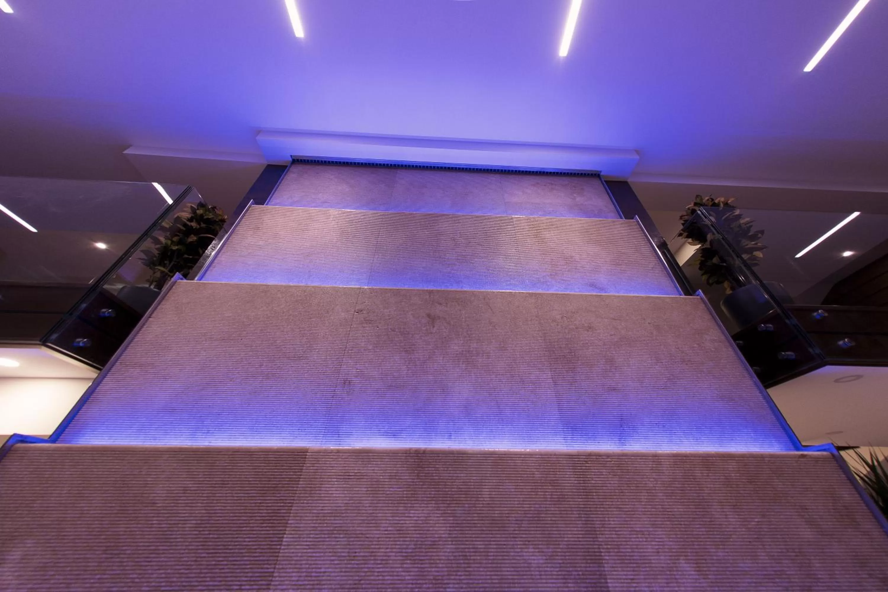 Lobby or reception, Bed in Hotel Transilvania