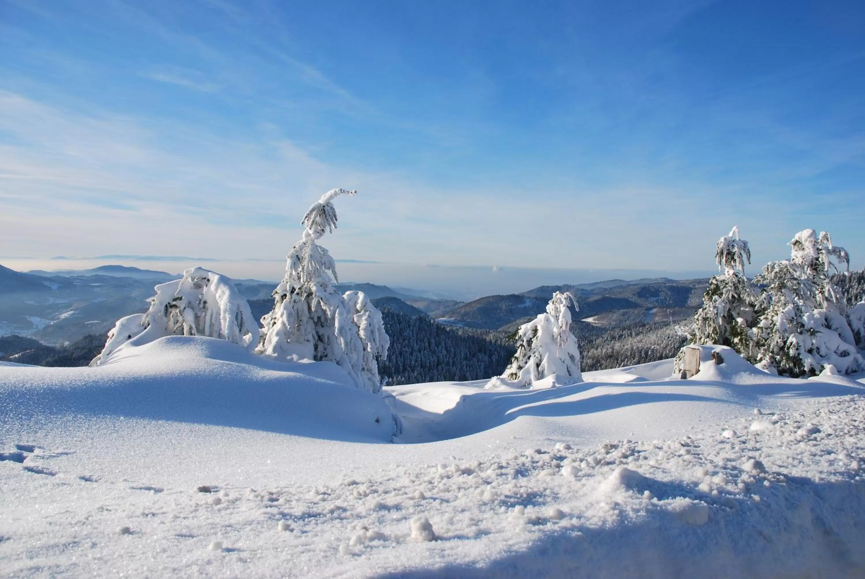 Nearby landmark in Hotel Adler