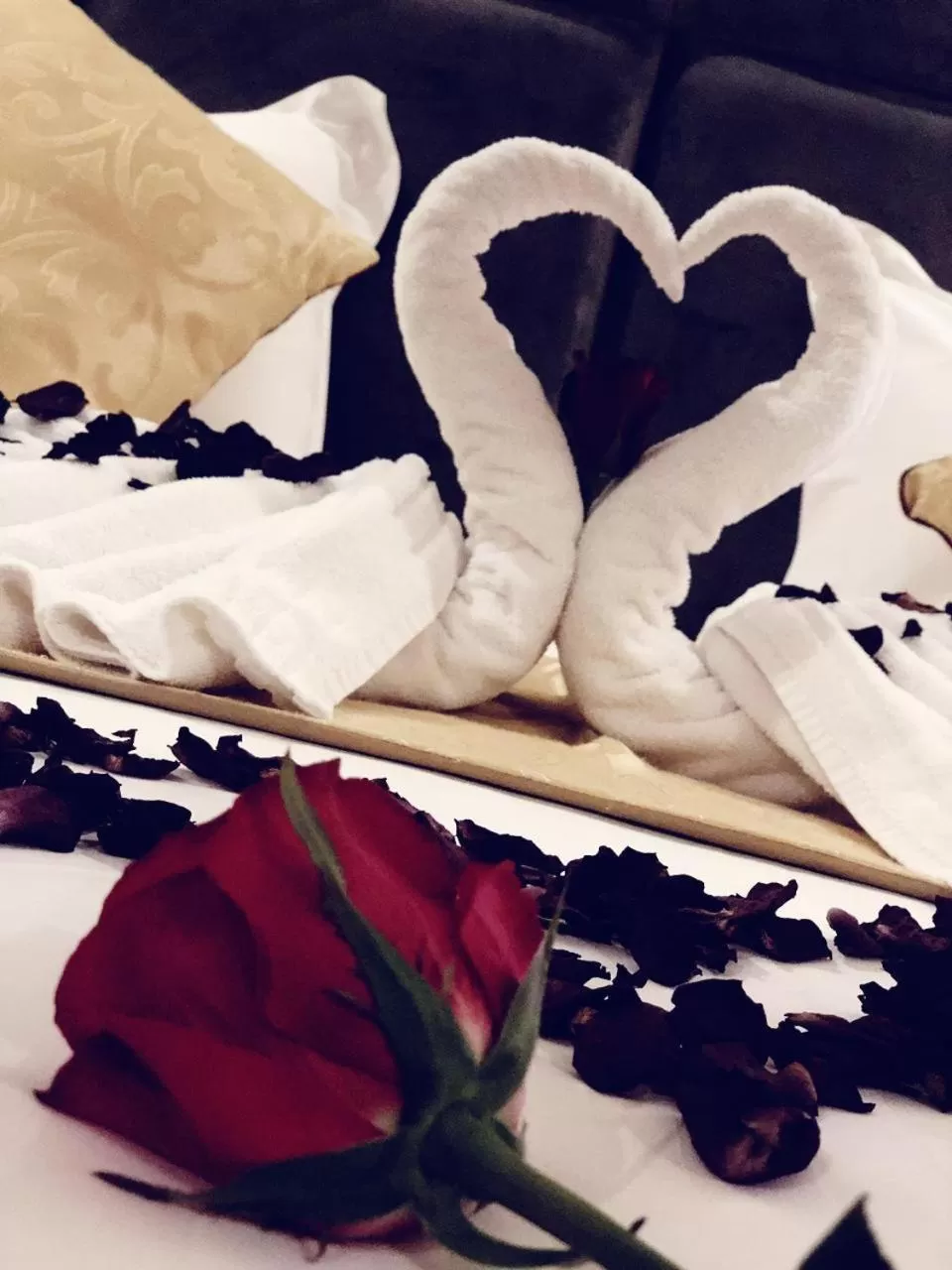 Decorative detail in Qasr Rayana Aparthotel