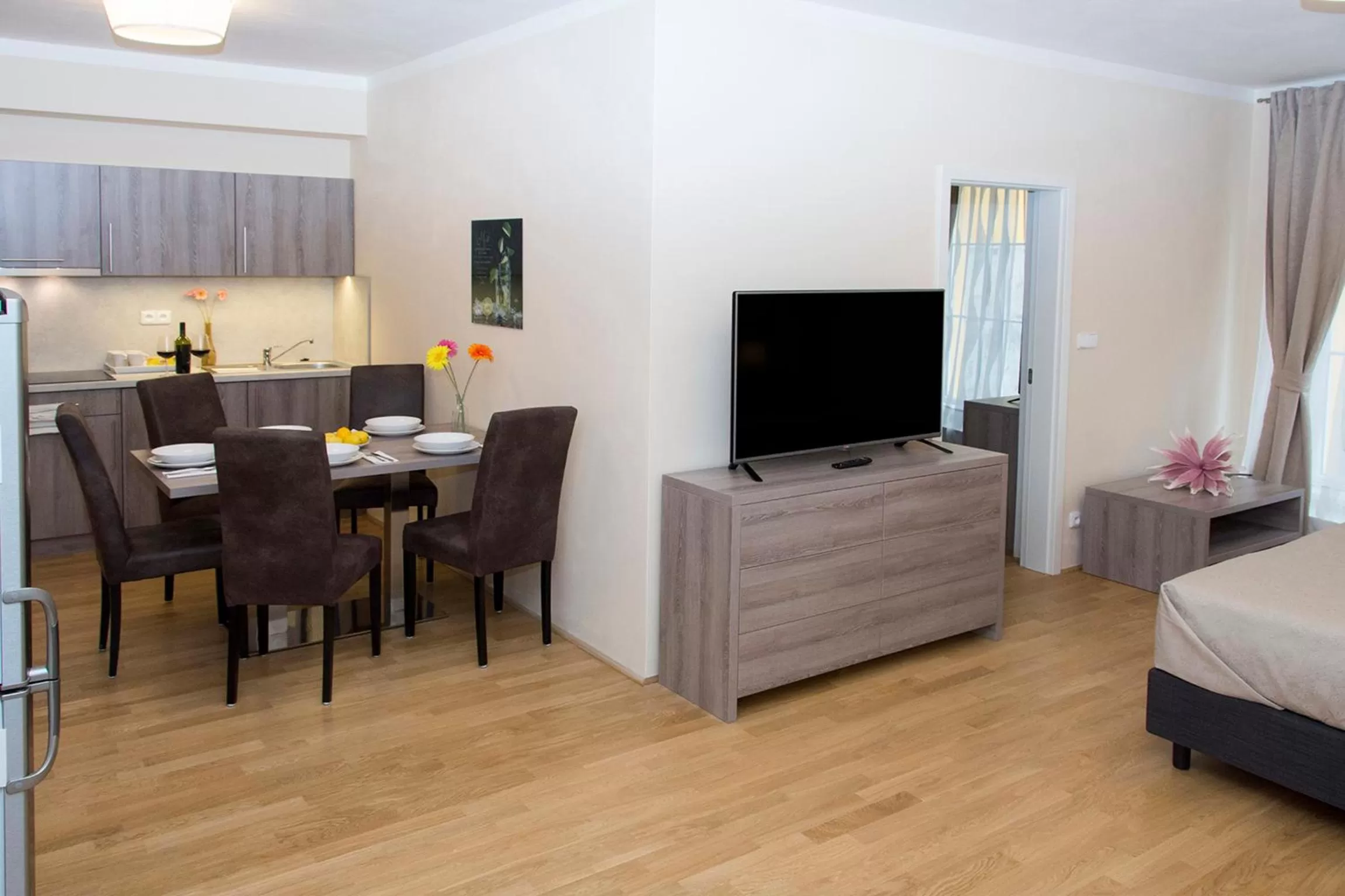 TV and multimedia in Limes Apartments