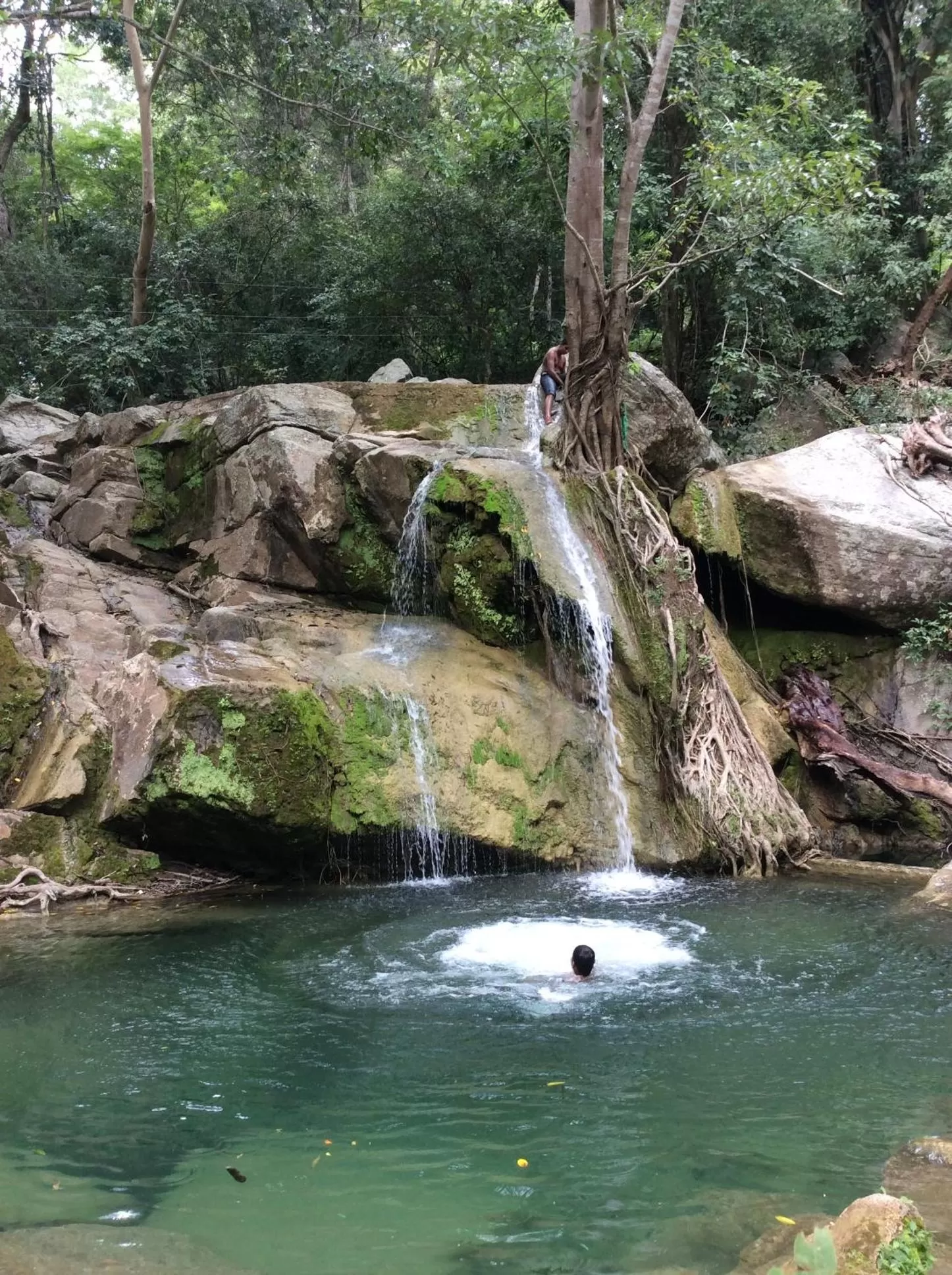 Natural Landscape in Feelin' good Resort