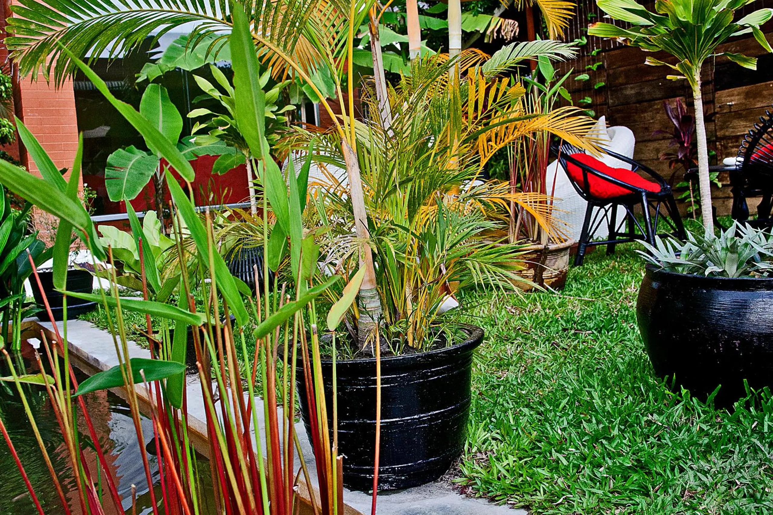 Garden in Angkor Panoramic Boutique Hotel