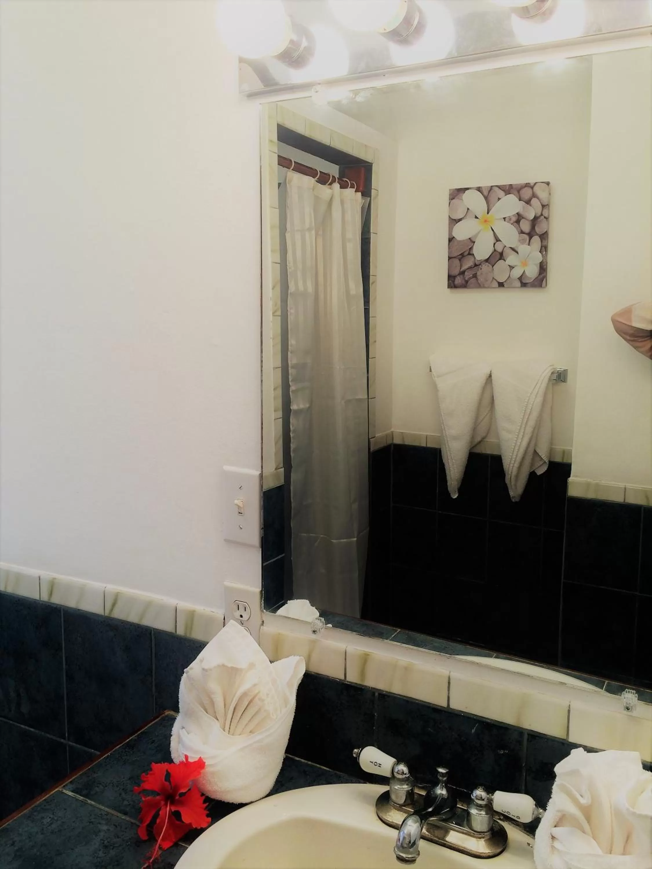 Bathroom in Wild Orchid