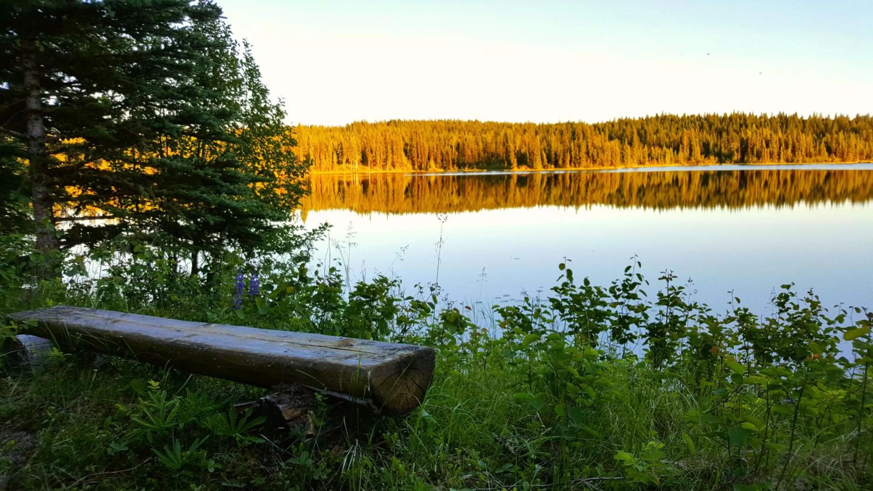 Natural landscape in Wettstone Guest Ranch