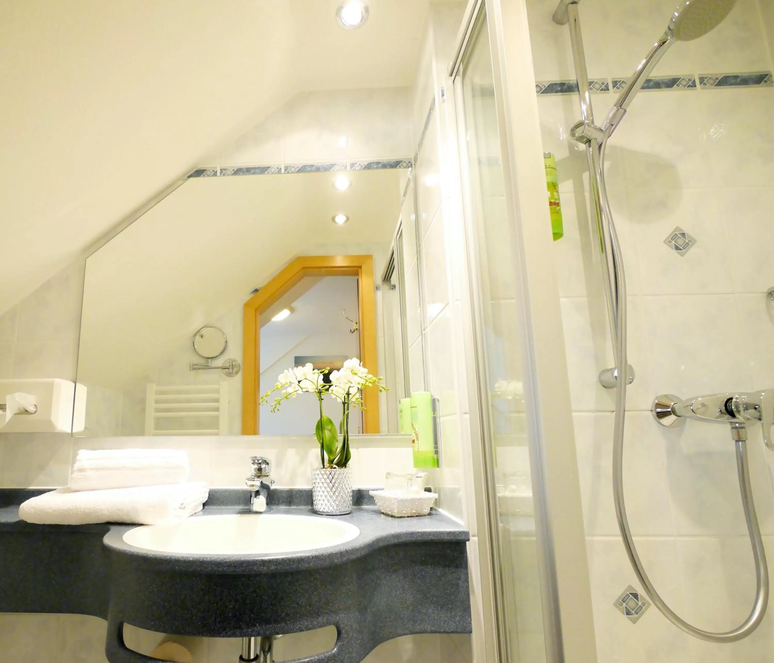 Shower in Berghotel Zollersteighof