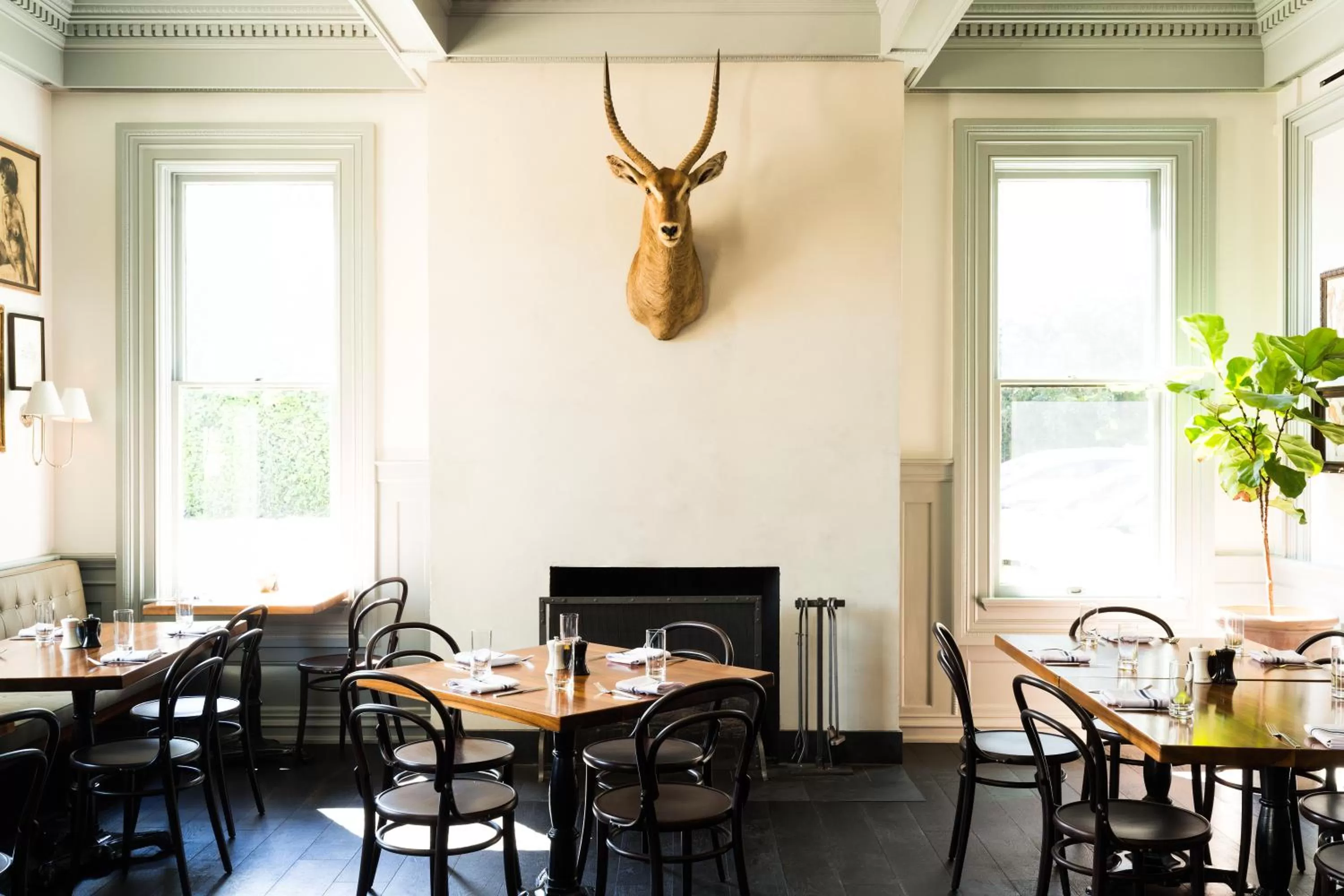 Restaurant/places to eat in Hotel Ella