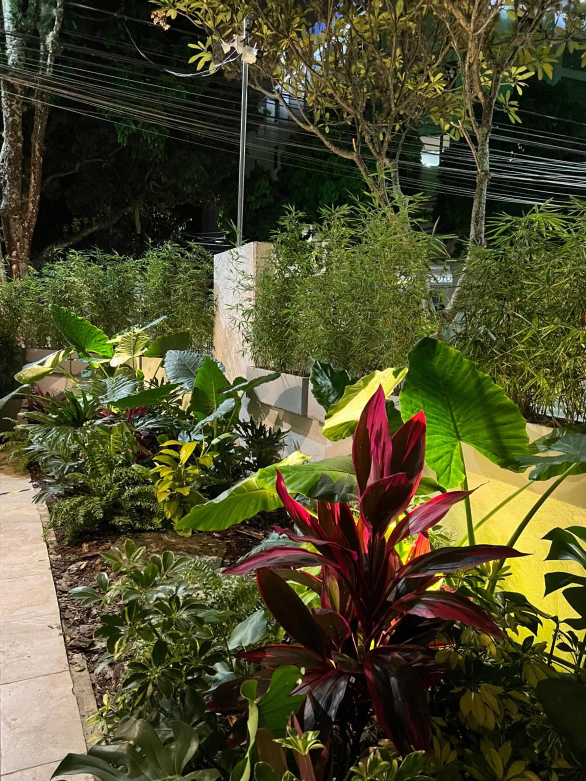 Garden in HOTEL 9.5 SAN FERNANDO