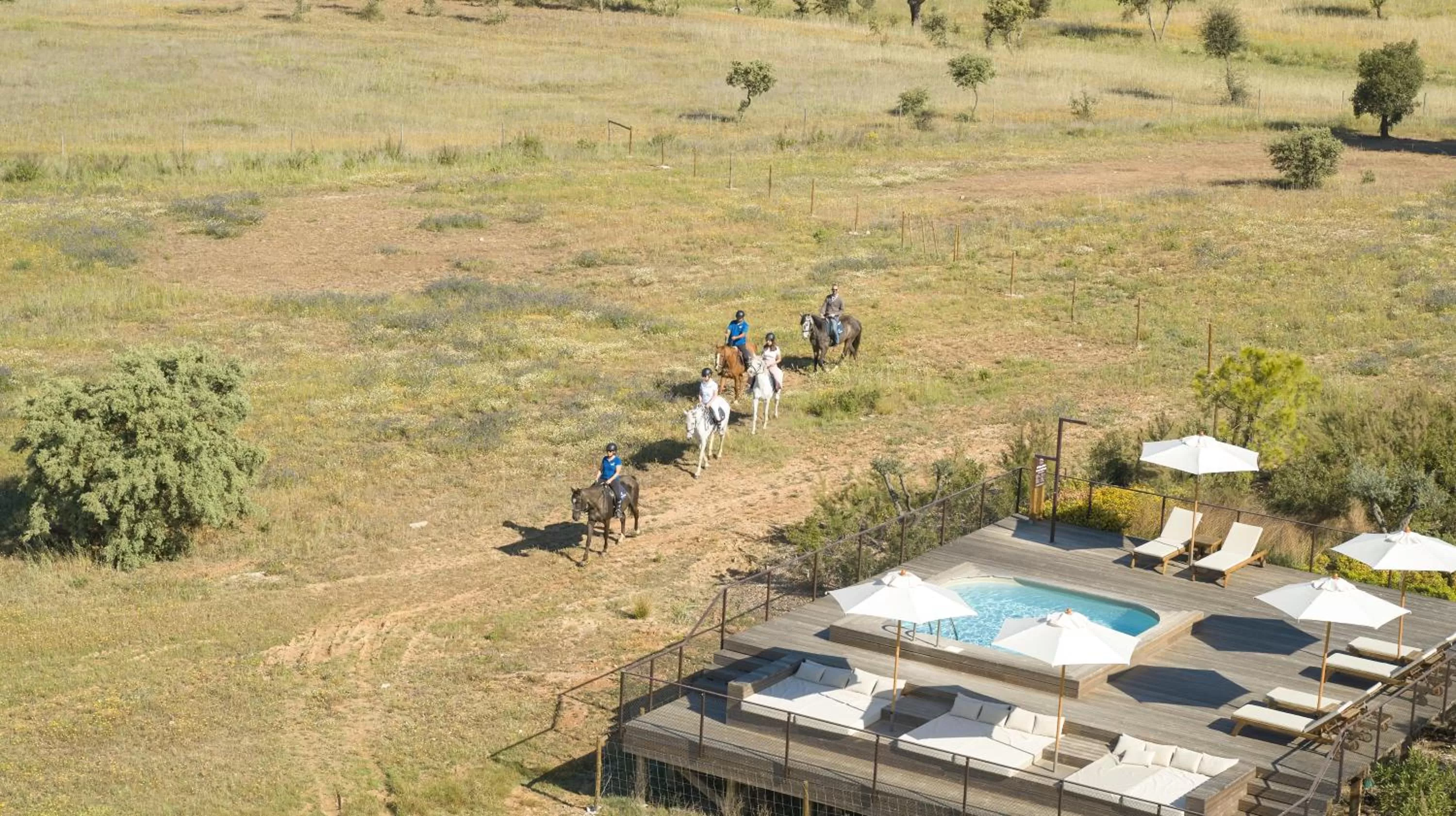 Activities in Octant Evora