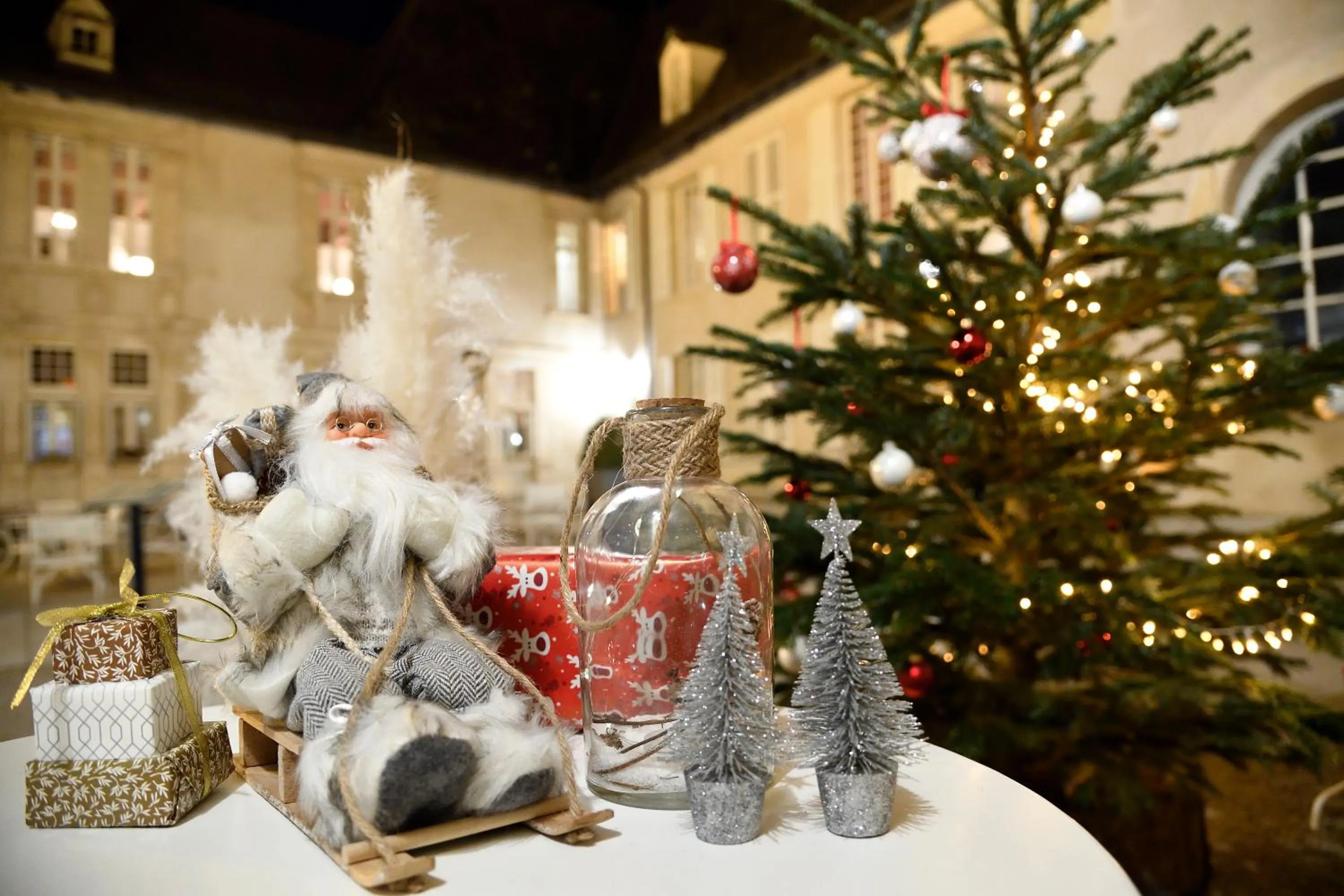 Property building in Château de Pizay