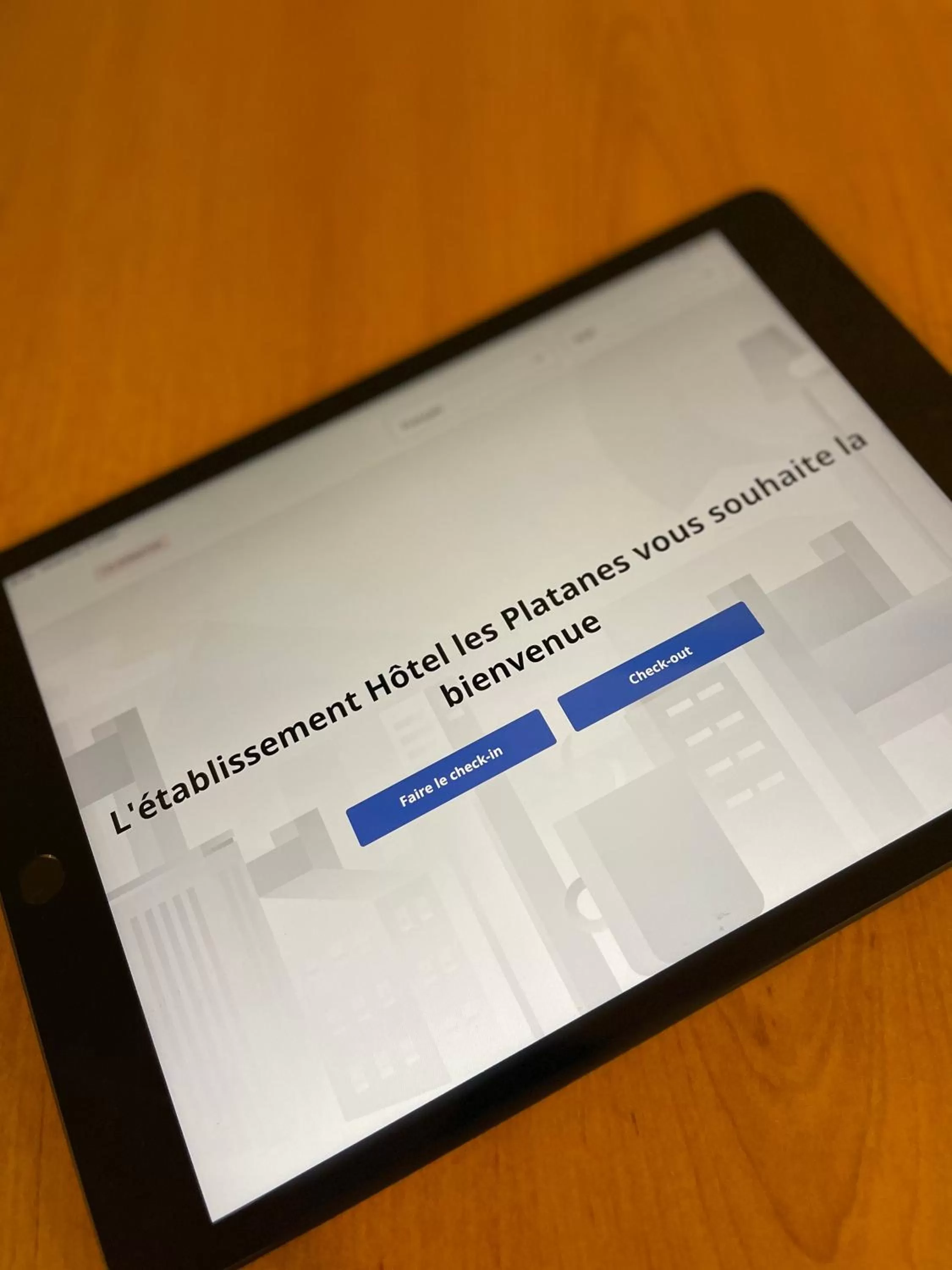 Lobby or reception in Contact Hôtel les Platanes Villeneuve sur Lot Centre