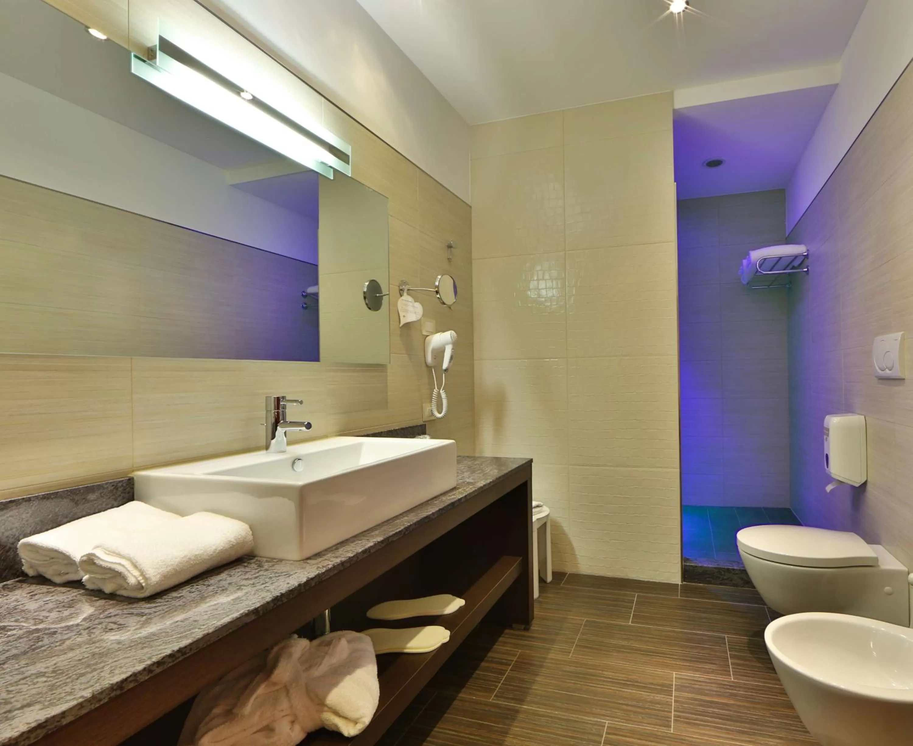 Photo of the whole room in Best Western Plus Soave Hotel