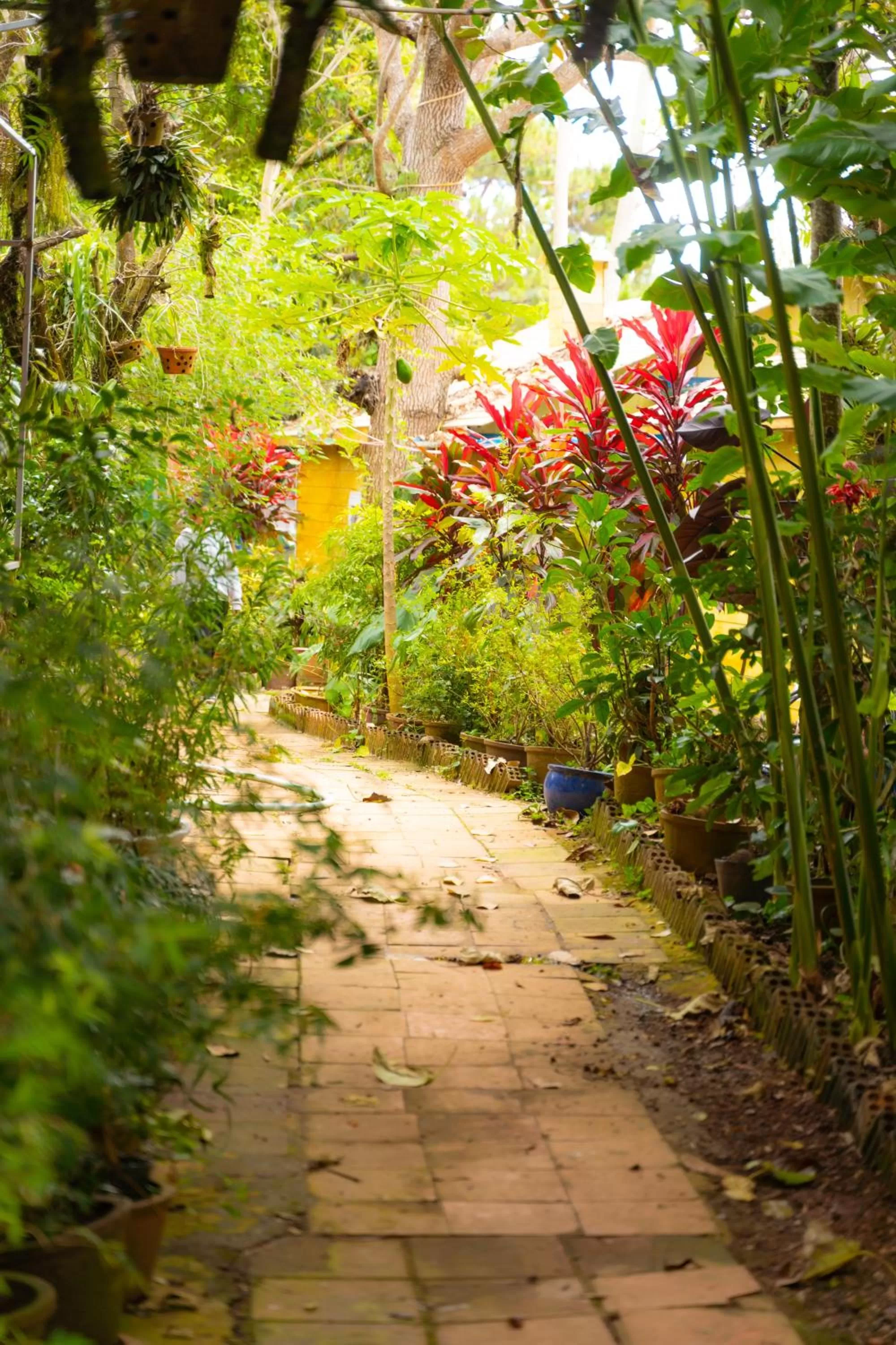 Garden in The Lake House Dalat