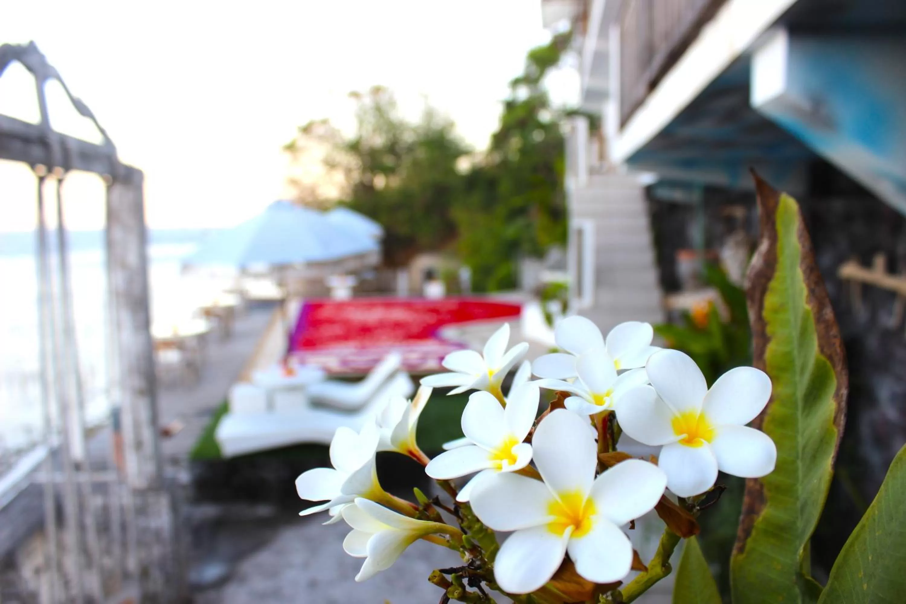 Natural landscape in SUITE OCEAN BLUE