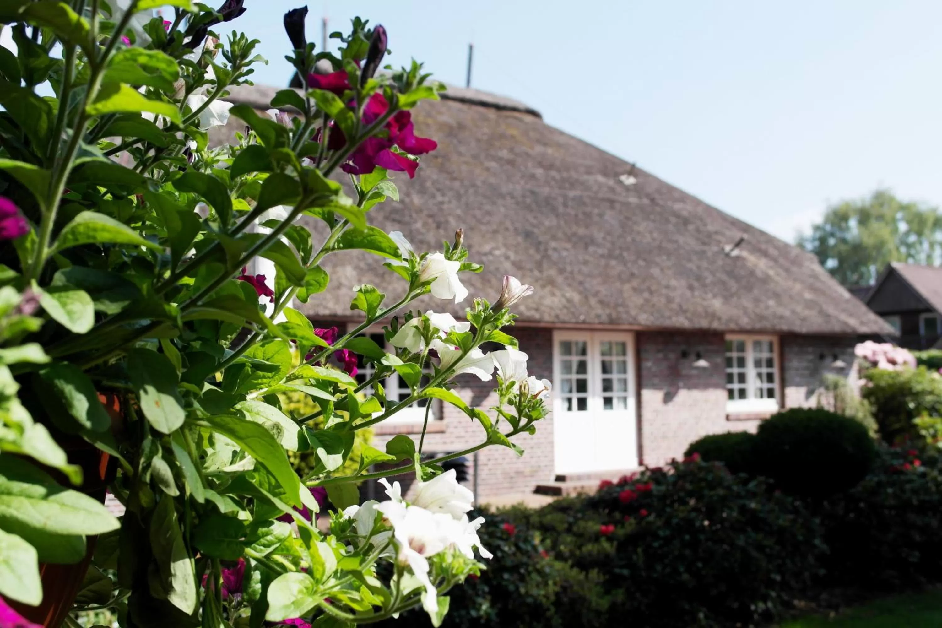 Property building in Hotel Blauer Fasan