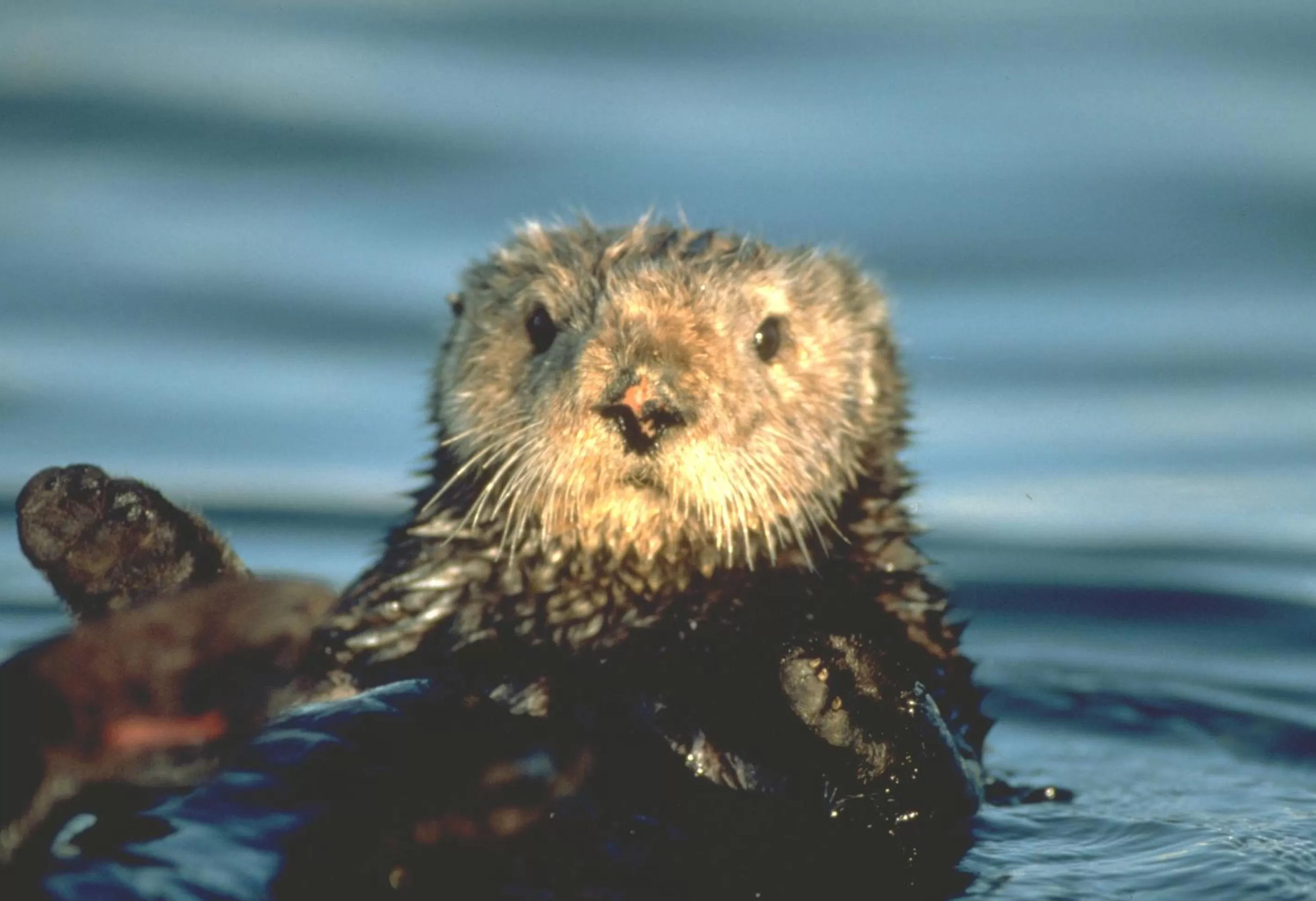 Area and facilities in Spindrift Inn