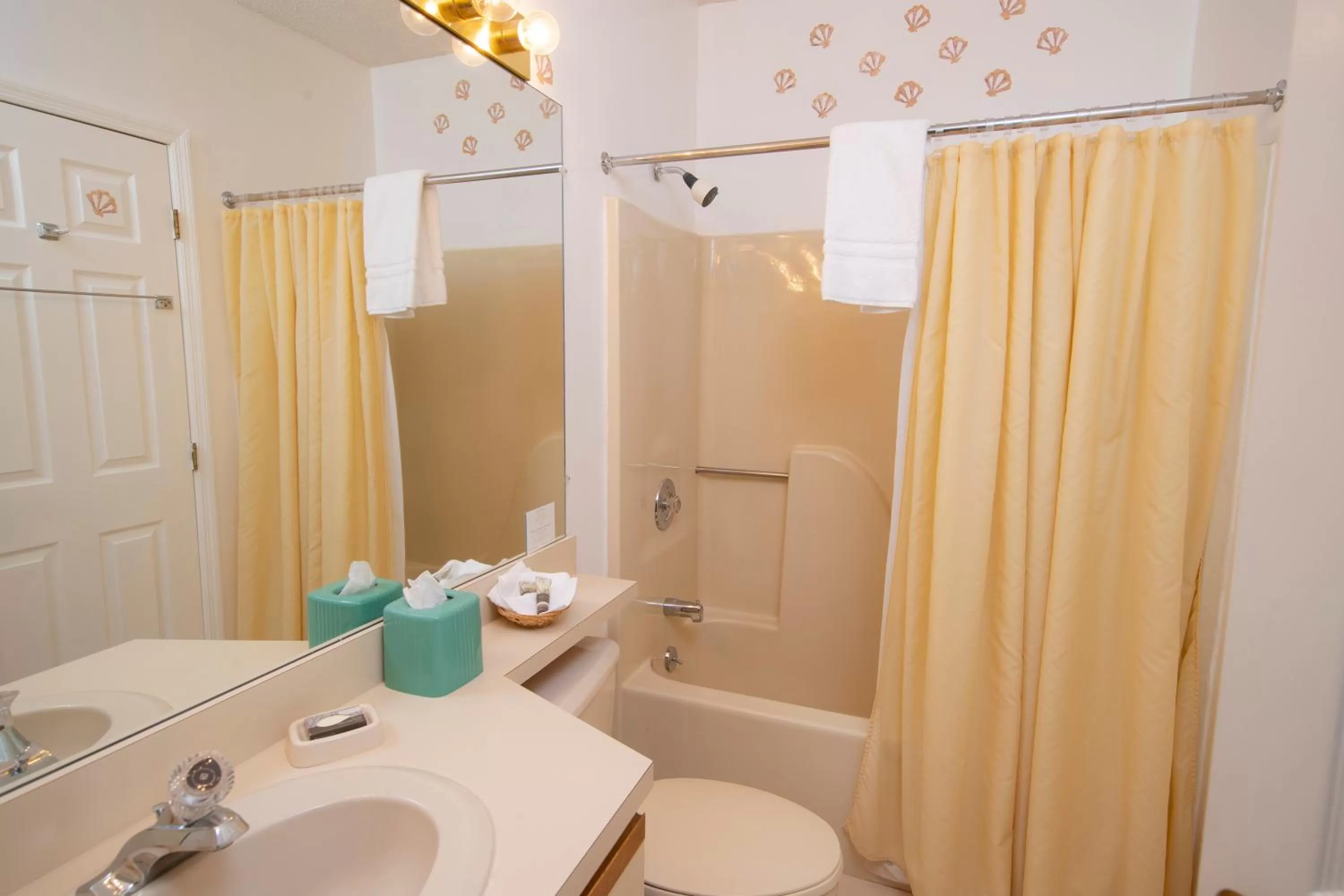 Winterplace on Okemo Mountain