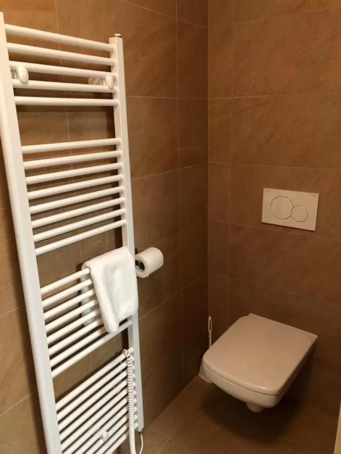 Bathroom in Penzion Panský dvůr Telč