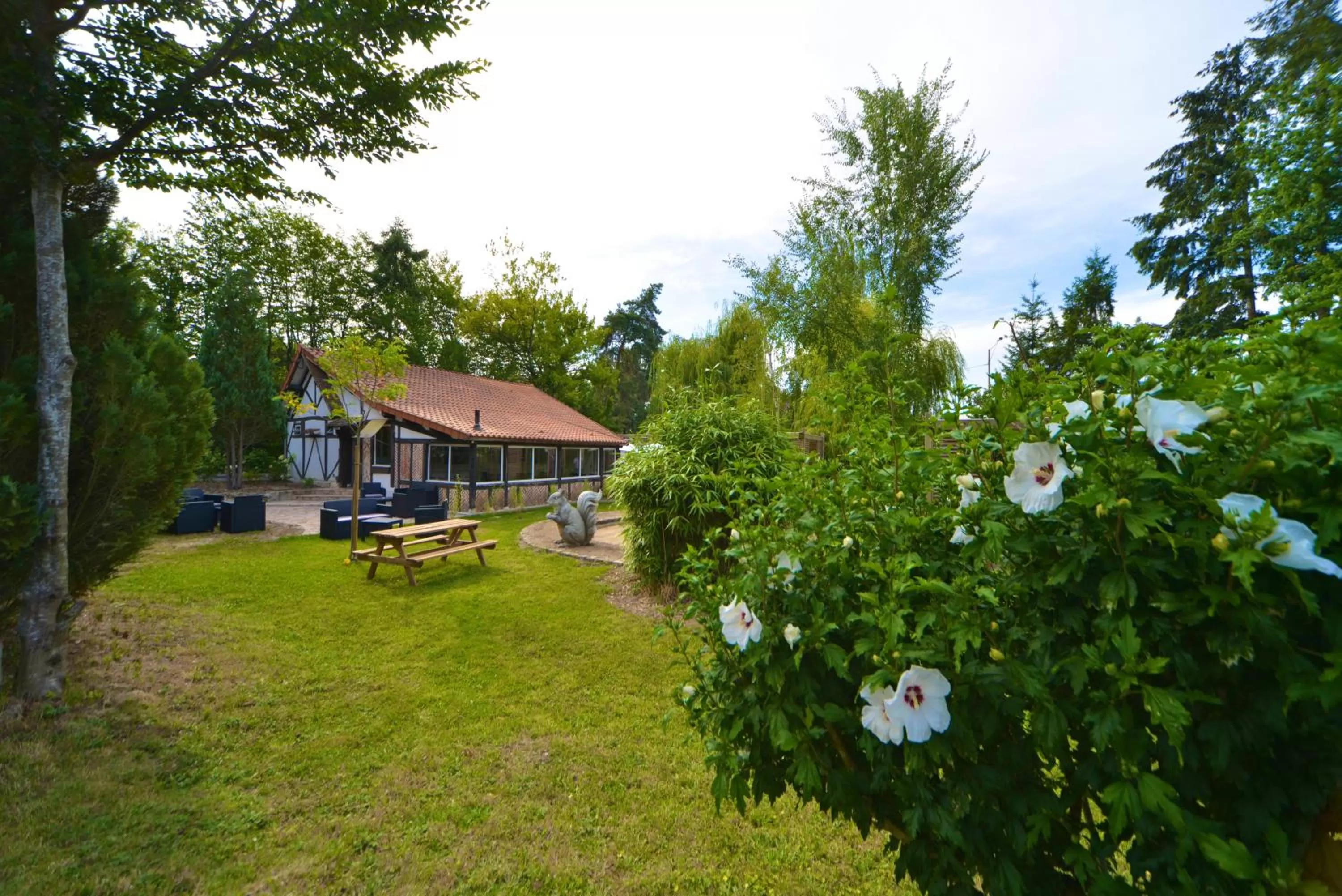 Restaurant/places to eat in Logis - Hotel Restaurant La Mire