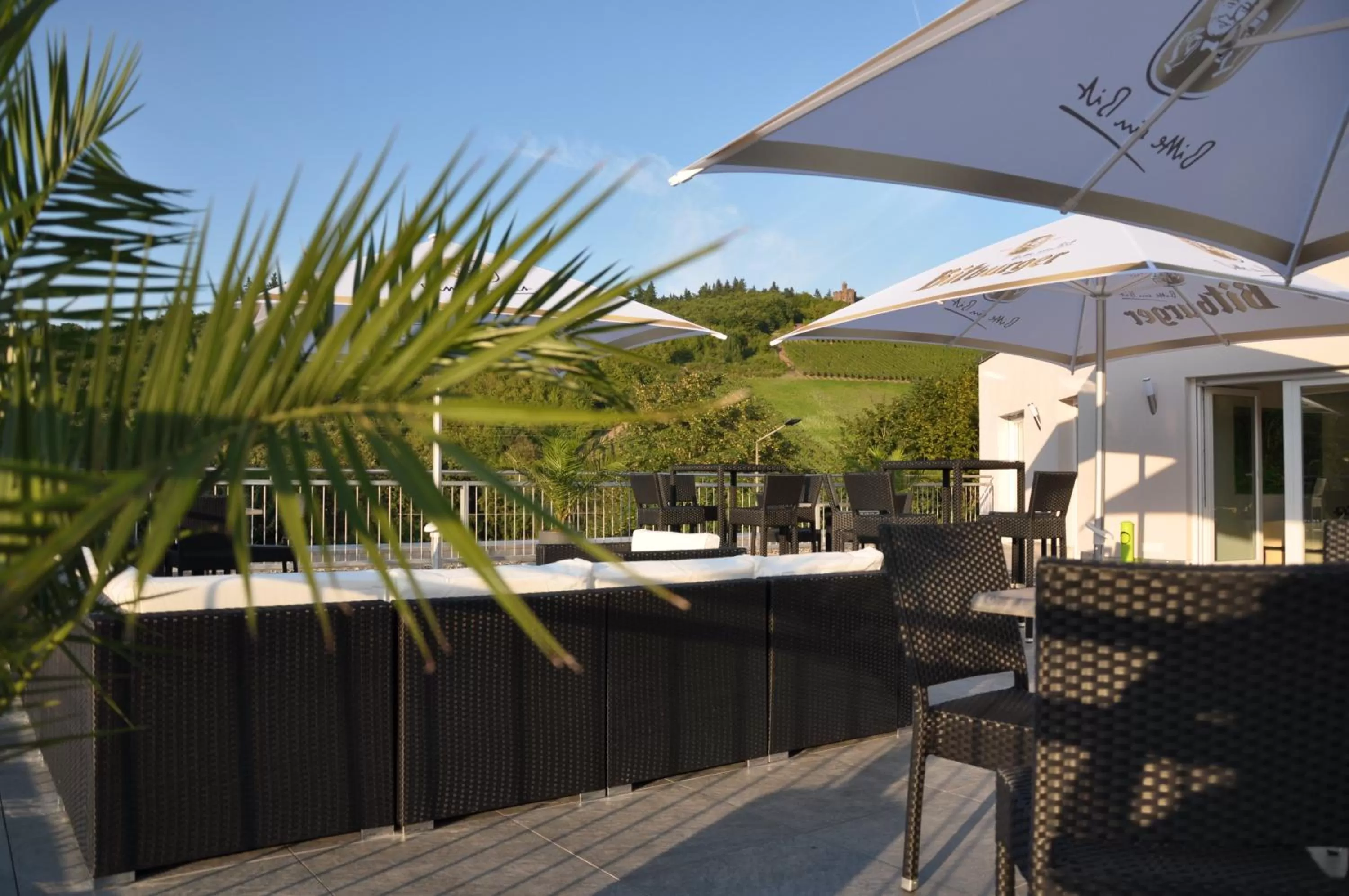 Balcony/Terrace in Schroeders Wein-Style-Hotel