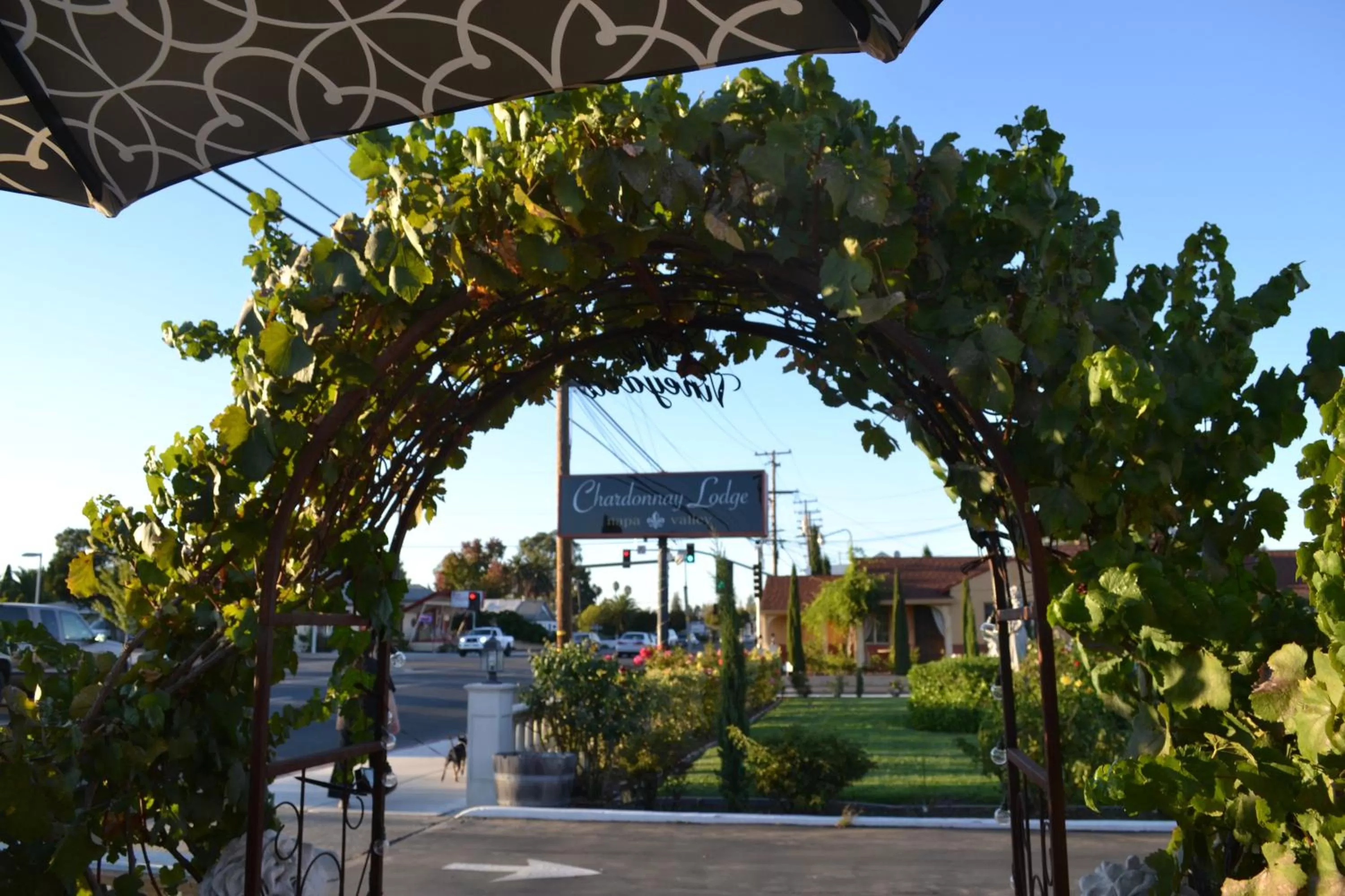 Facade/entrance in Chardonnay Lodge
