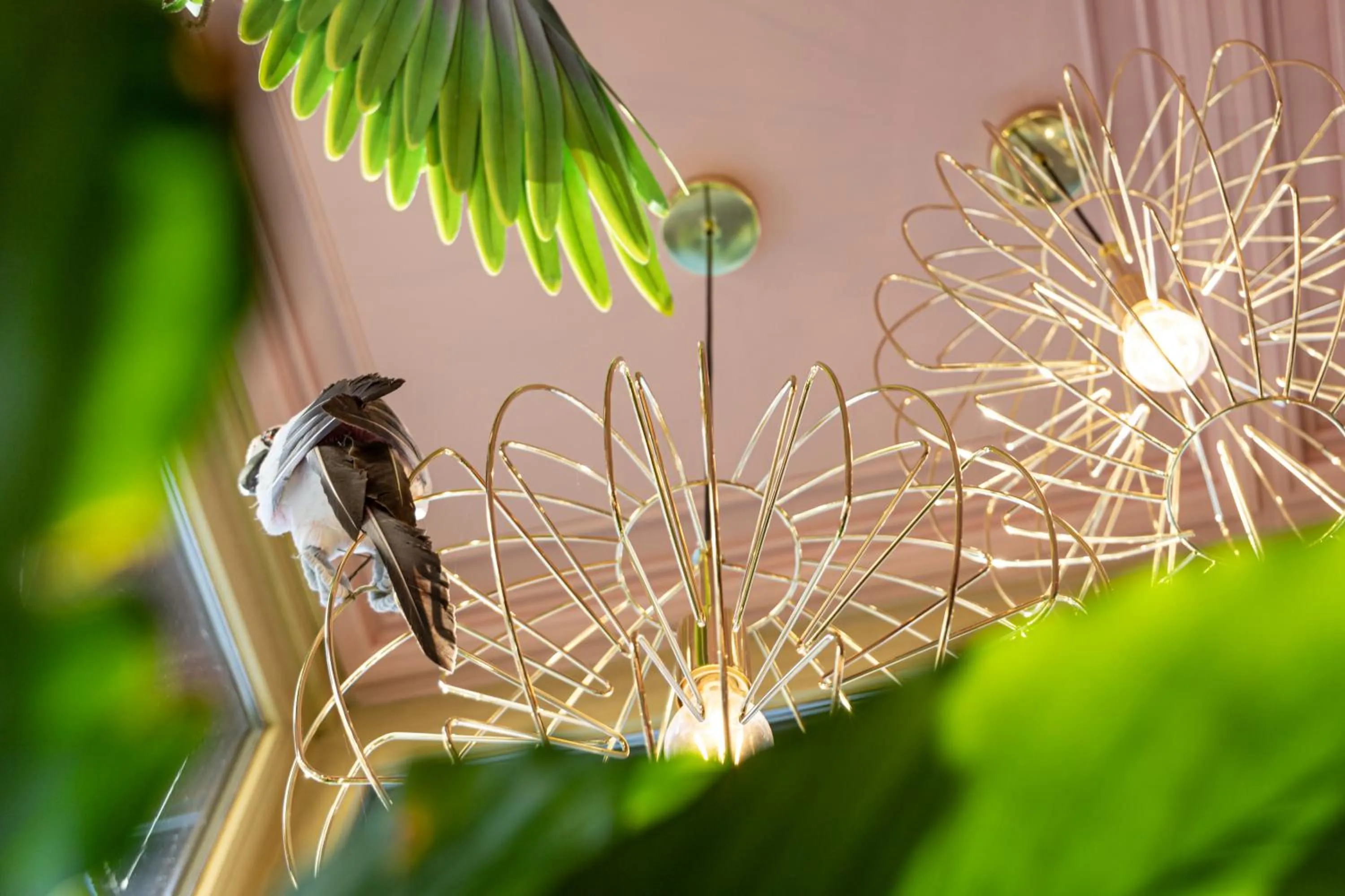 Lounge or bar in Hotel Saalbacher Hof