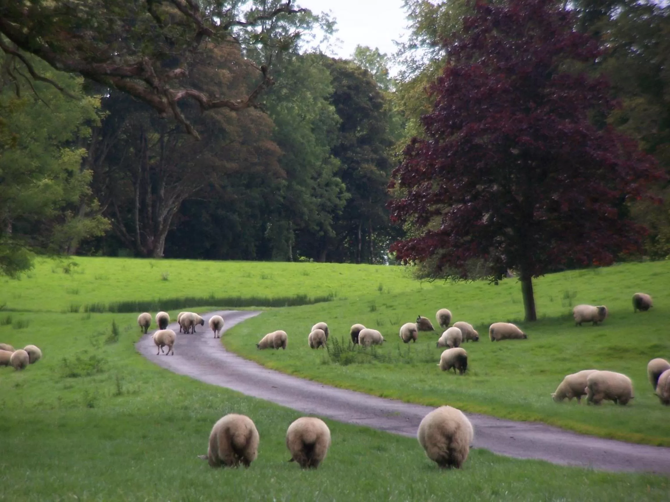Area and facilities in Temple House