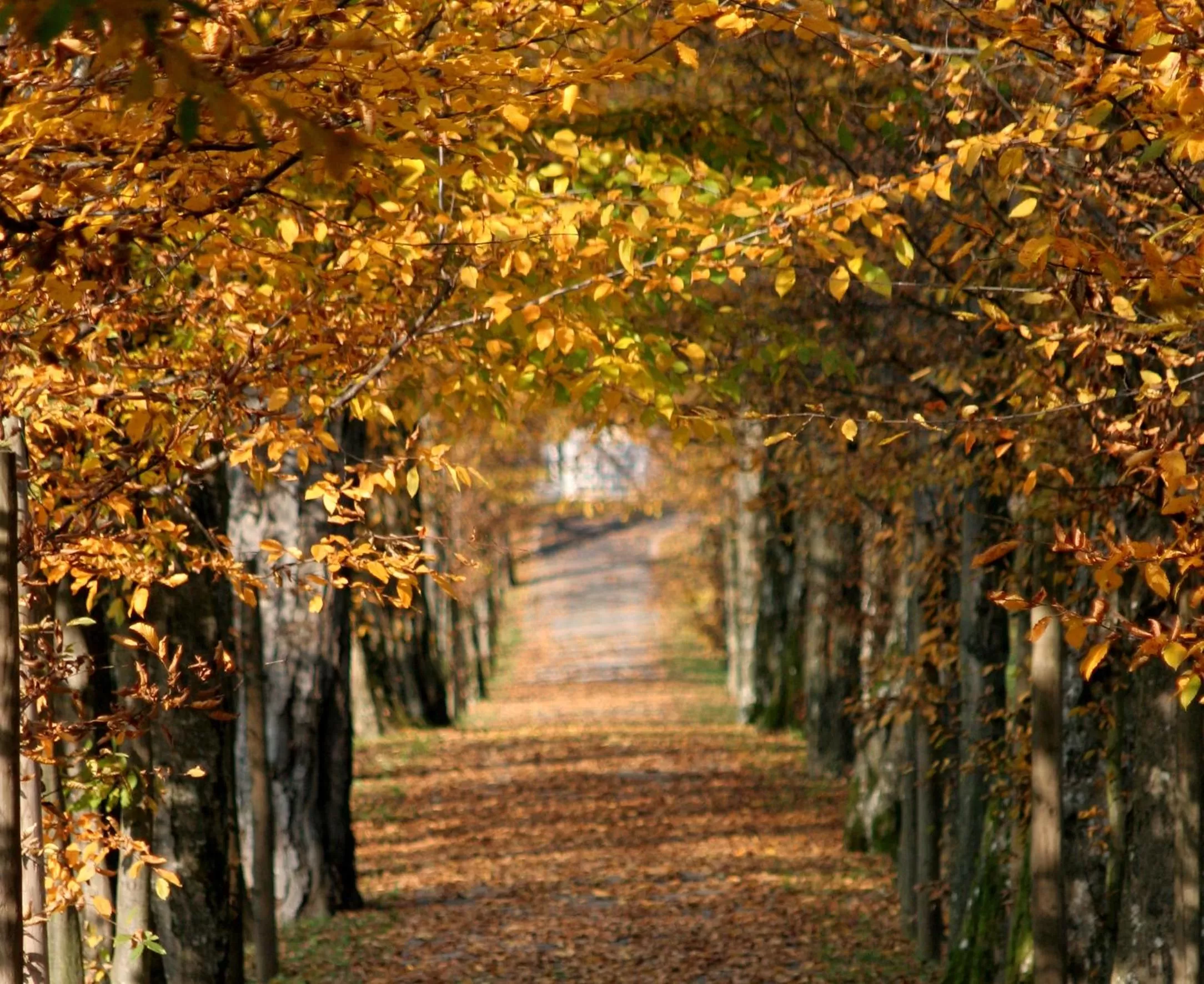 Day in Elegans Hotel Brdo