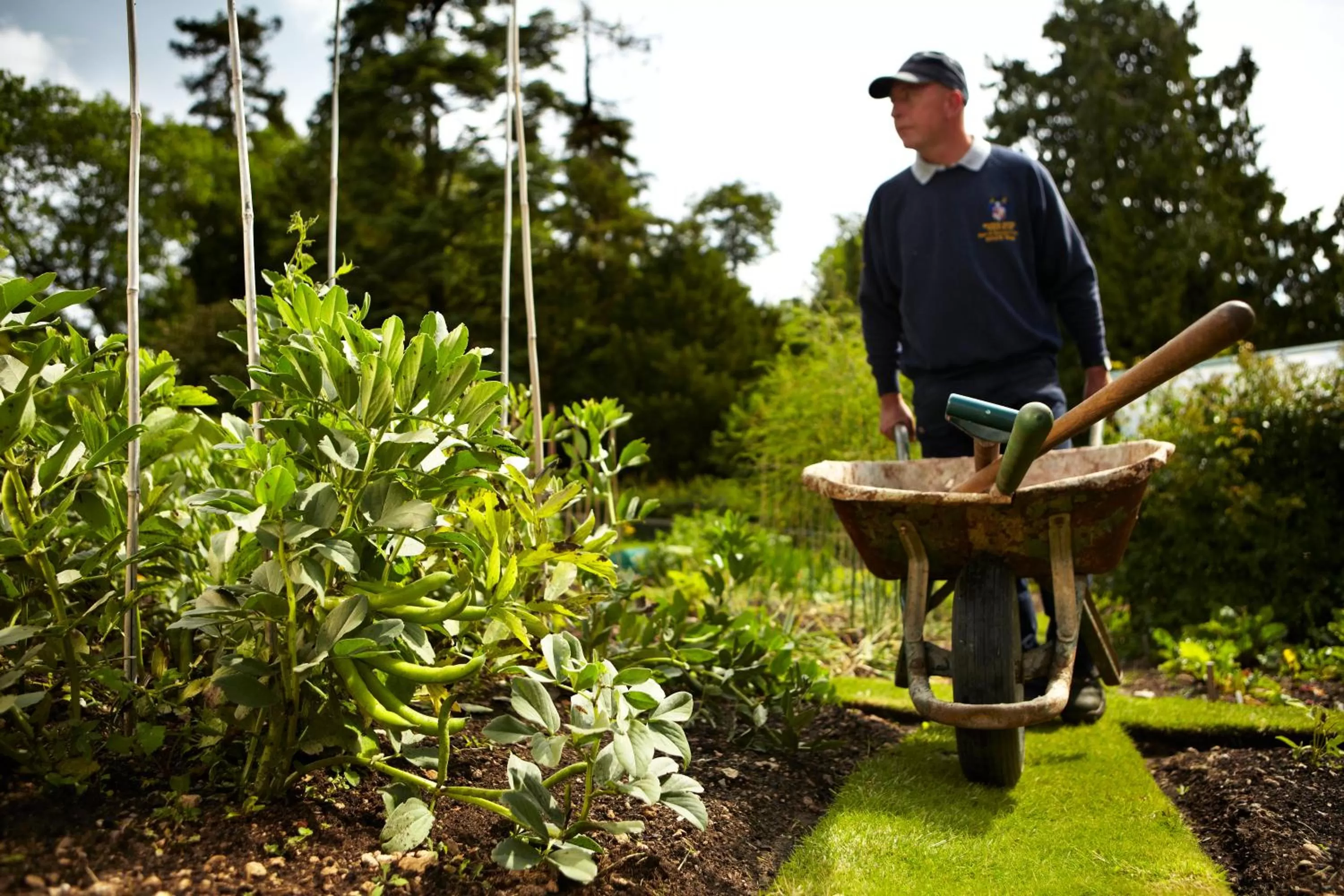 Garden in The Manor House Hotel and Golf Club
