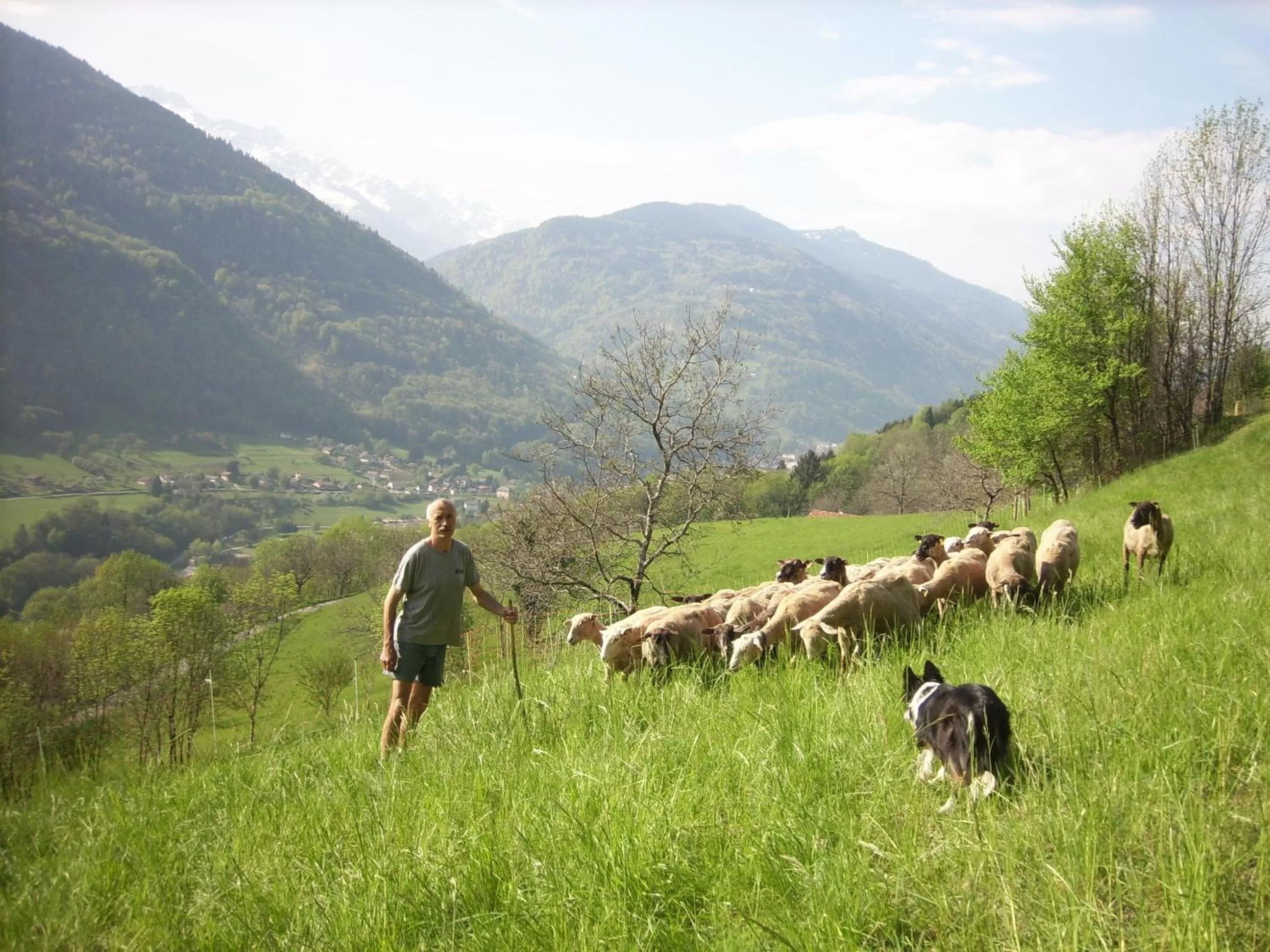 View (from property/room), Horseback Riding in Ferme Auberge du Bessard