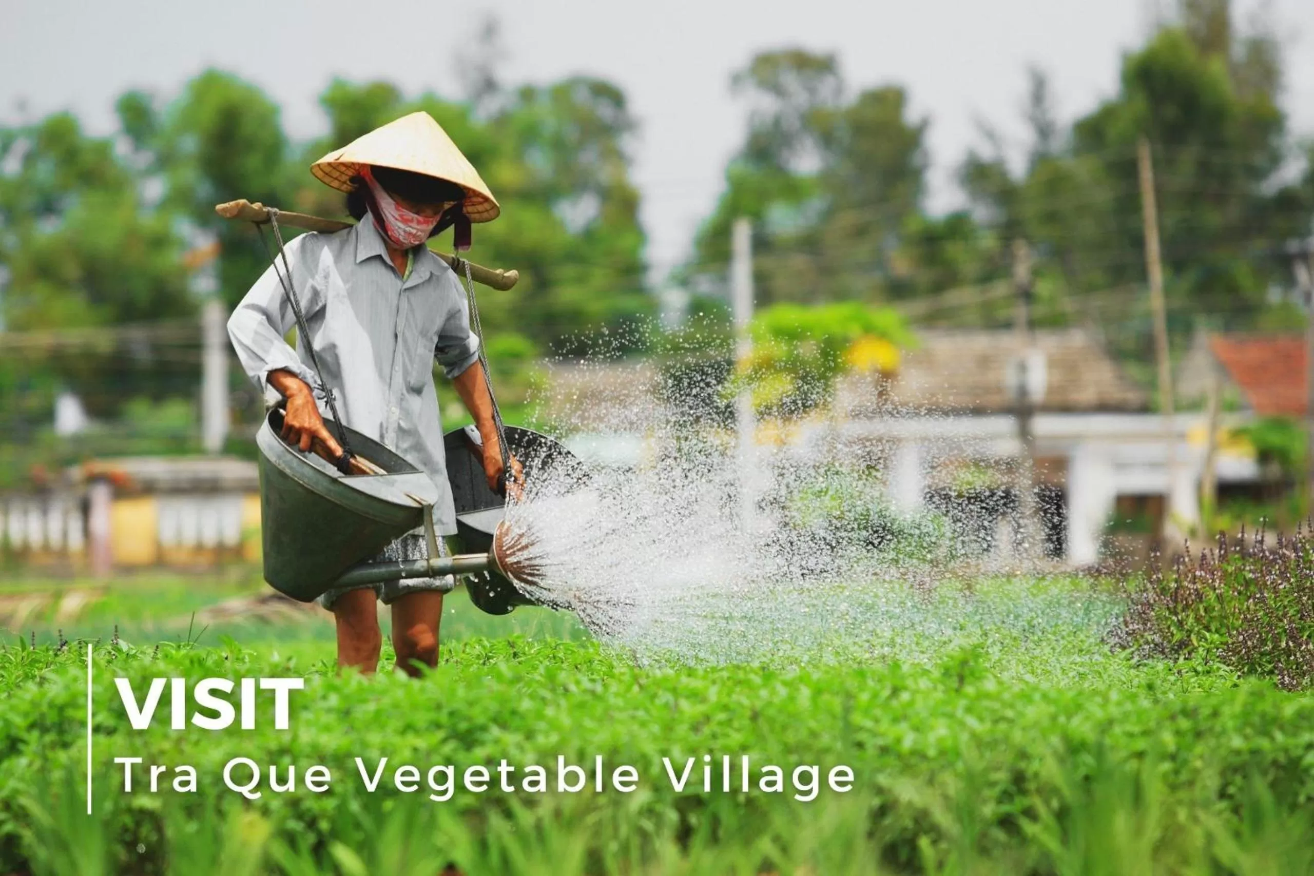 Time of day in La Charm Hoi An Hotel & Spa