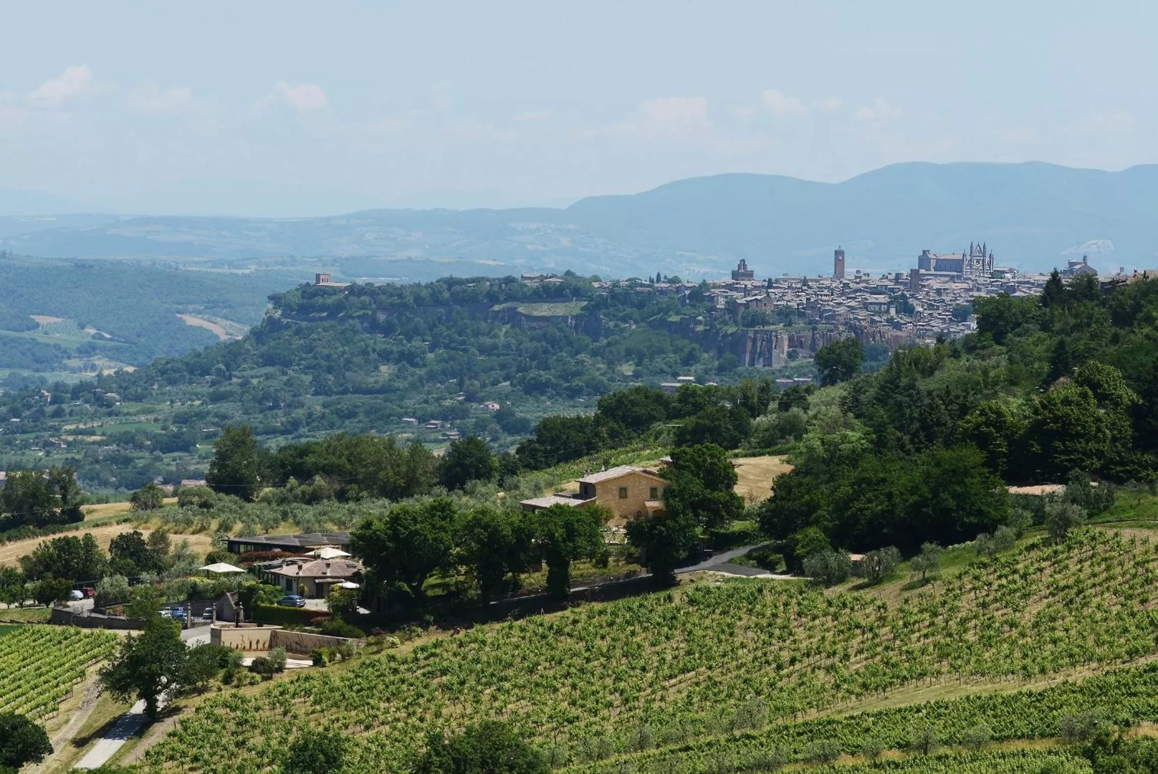 Nearby landmark in Altarocca Wine Resort Adults Only