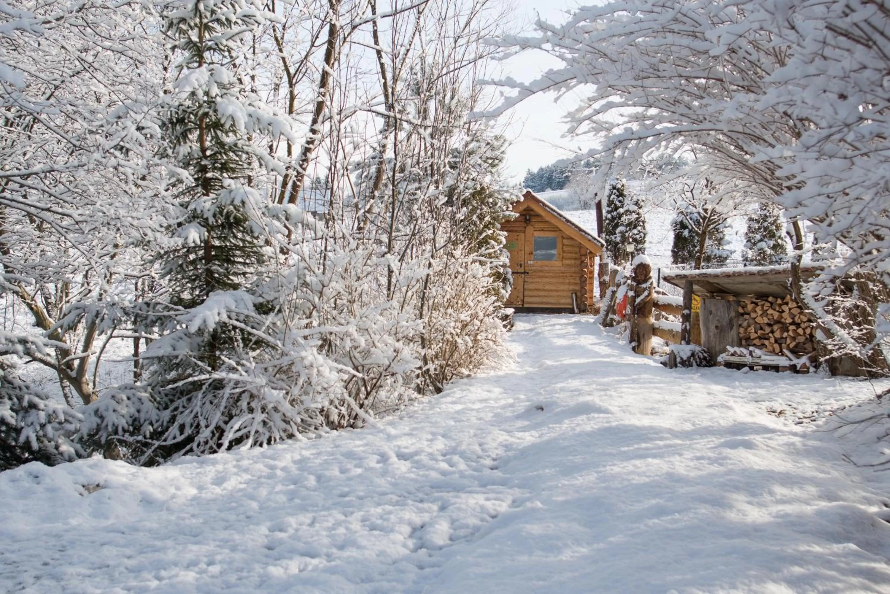 Activities in Gościniec Pięciu Stawów