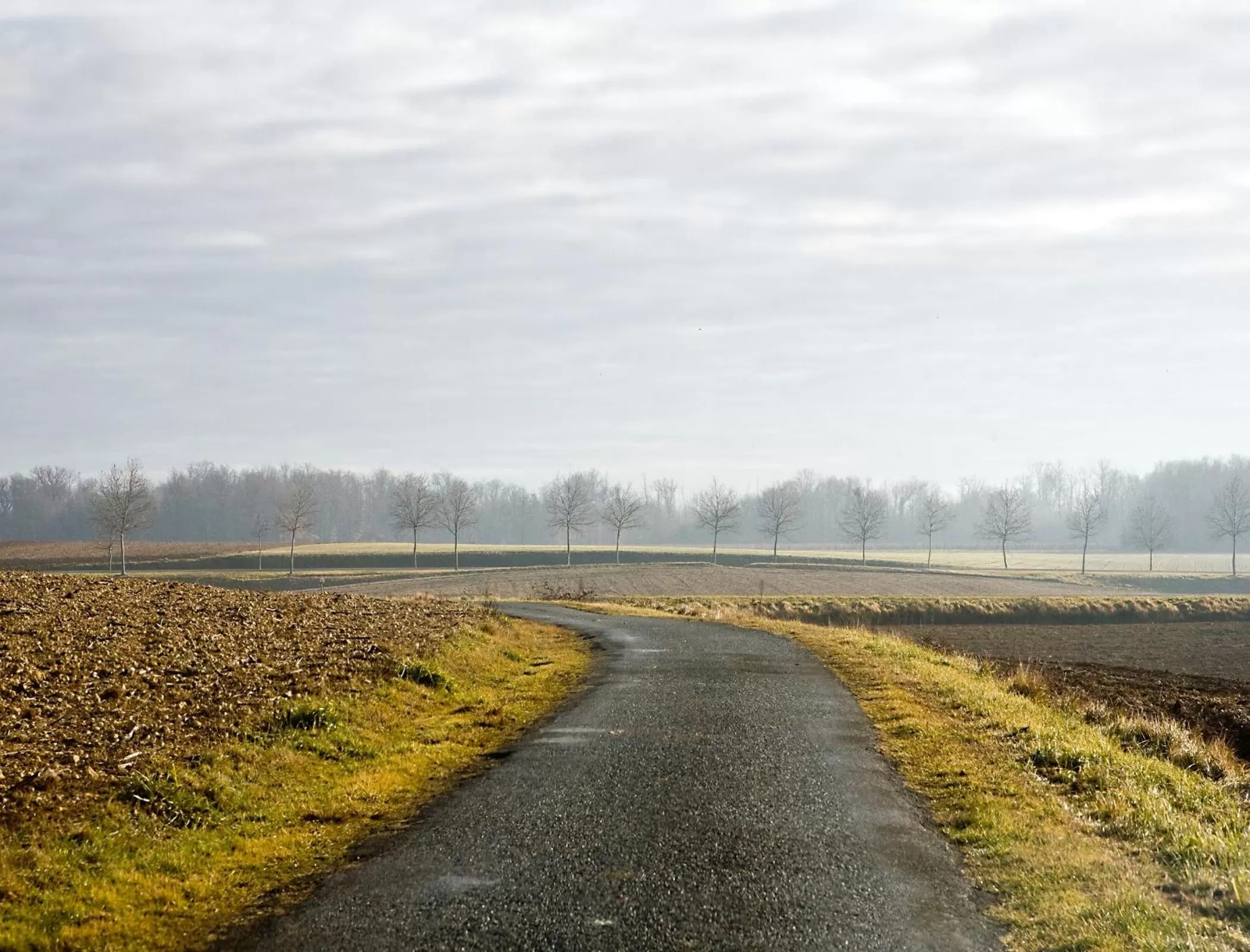 Natural landscape in La Bribaudonnière