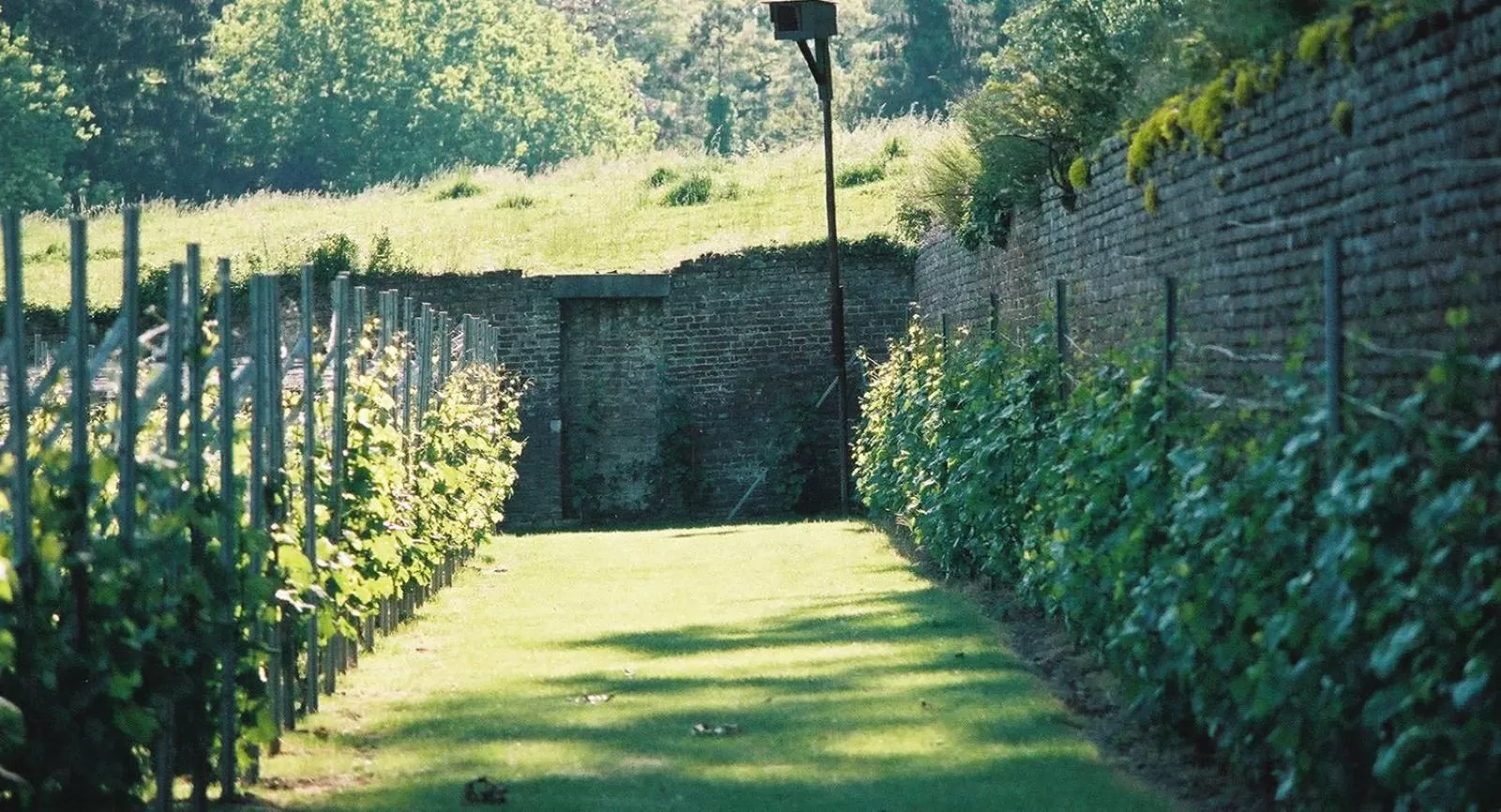 Off site in De Pastorie