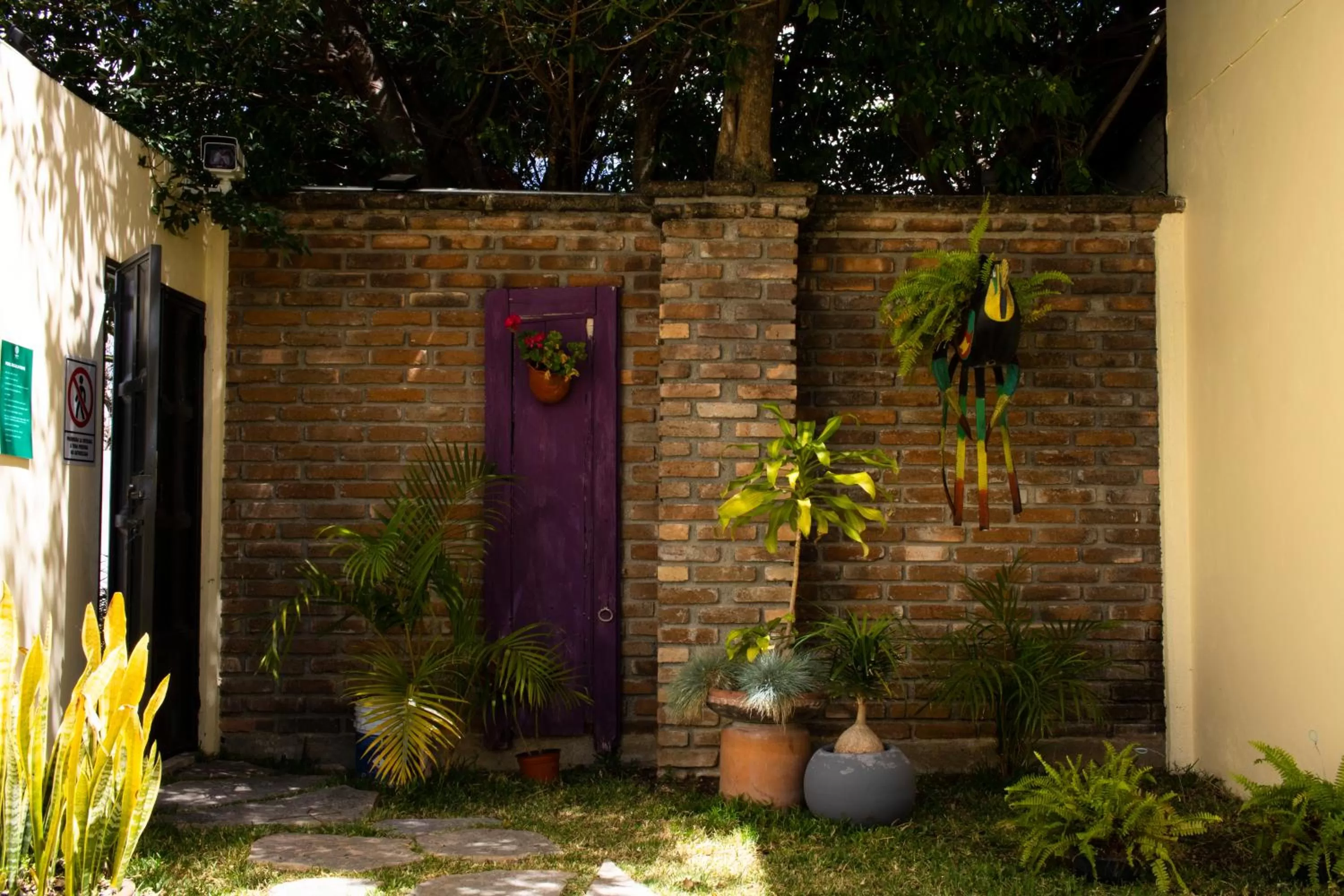 Garden in Hotel Nak'An Secreto Maya