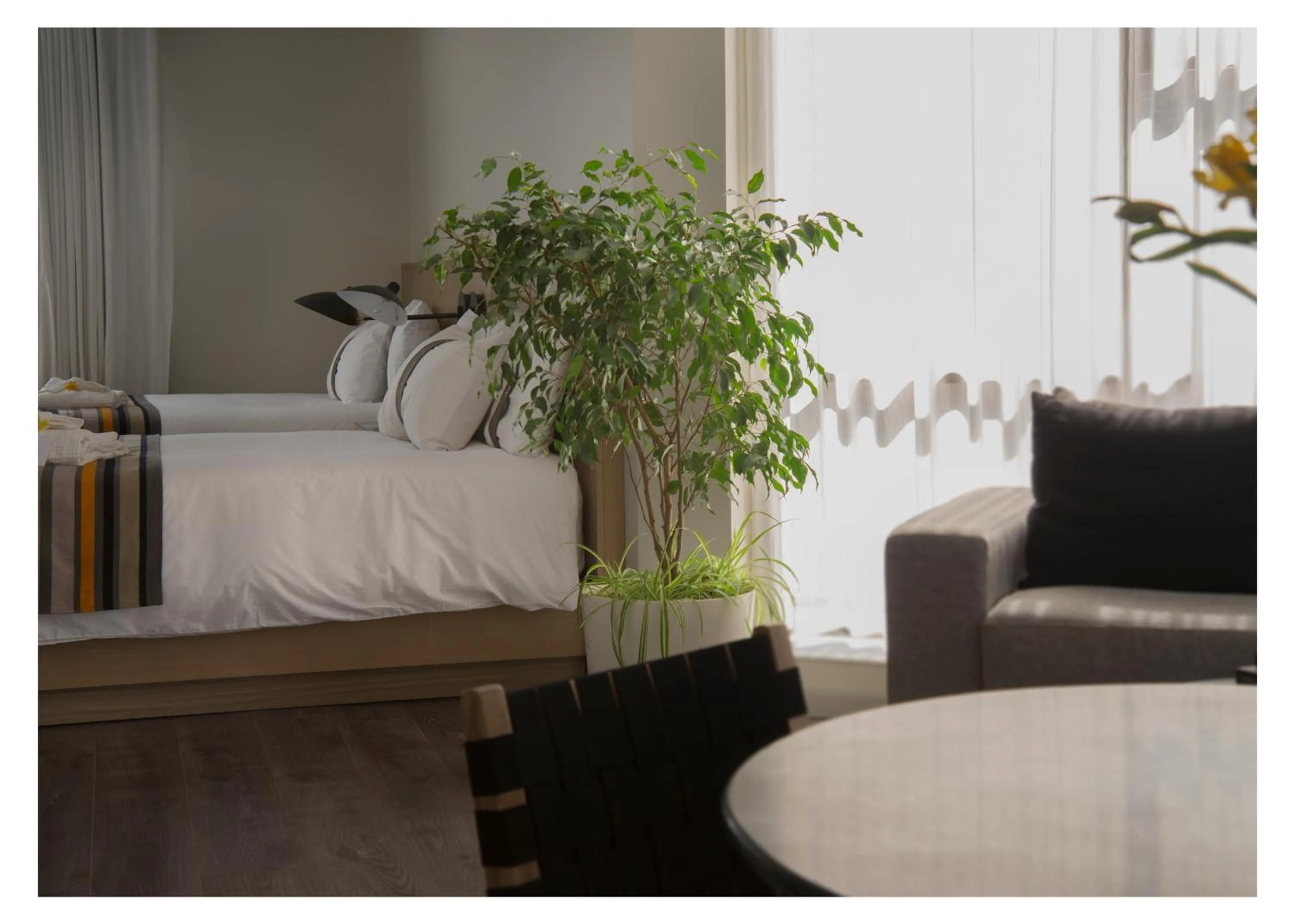 Bed in Casa Grande Suites