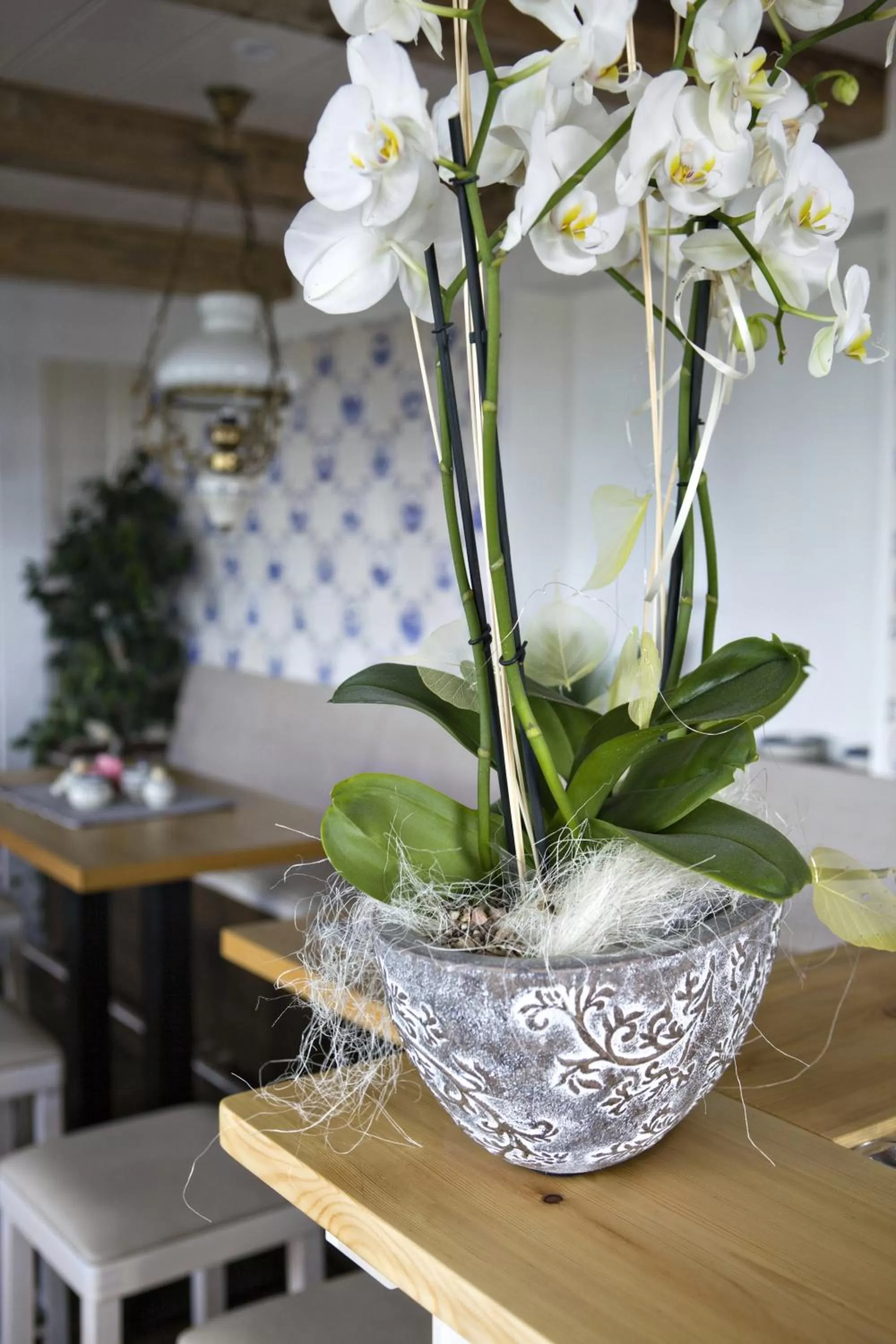 Restaurant/places to eat in Anker's Hörn - Hotel & Restaurant auf der Hallig Langeness