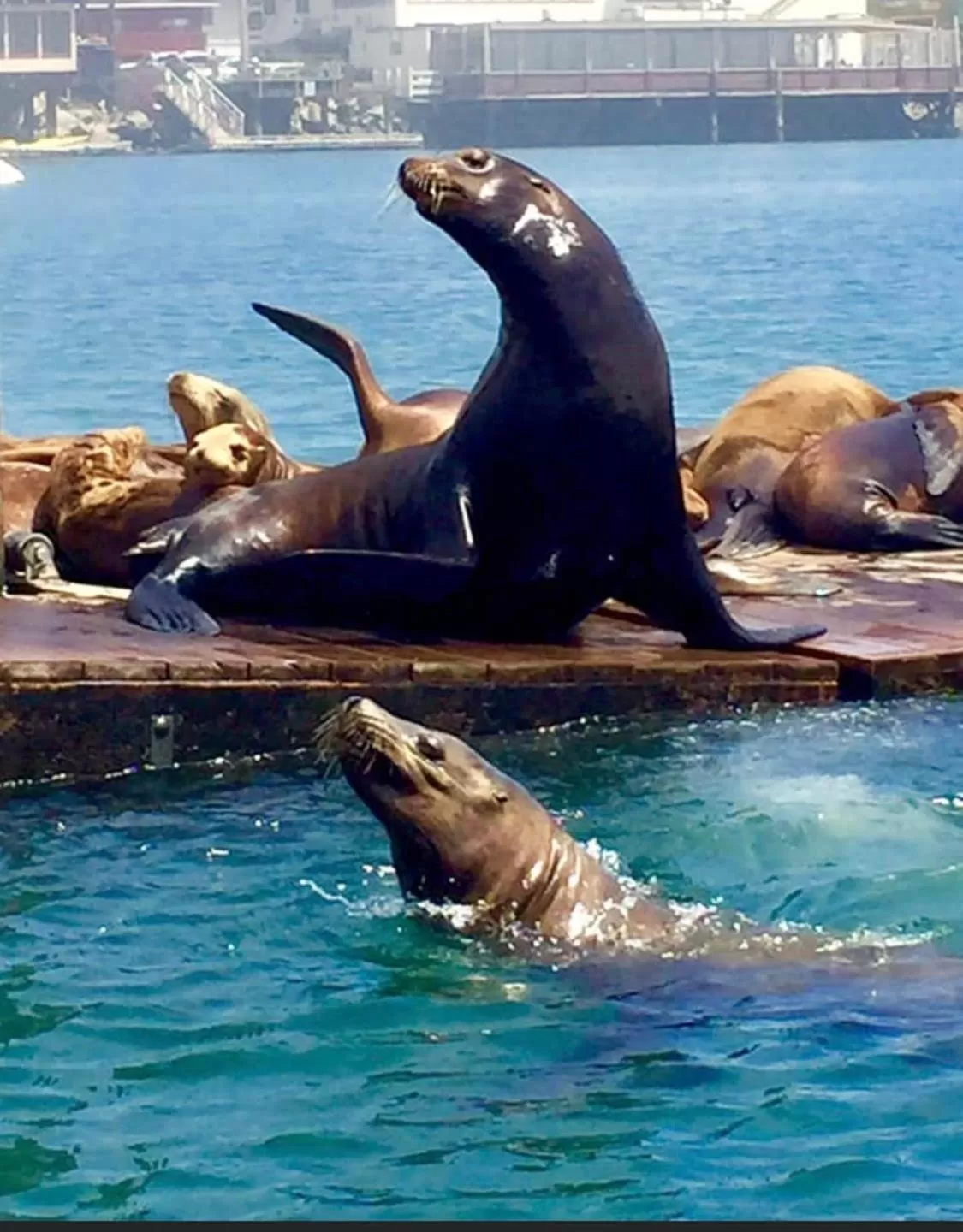Nearby landmark in Central Coast Inn Cayucos