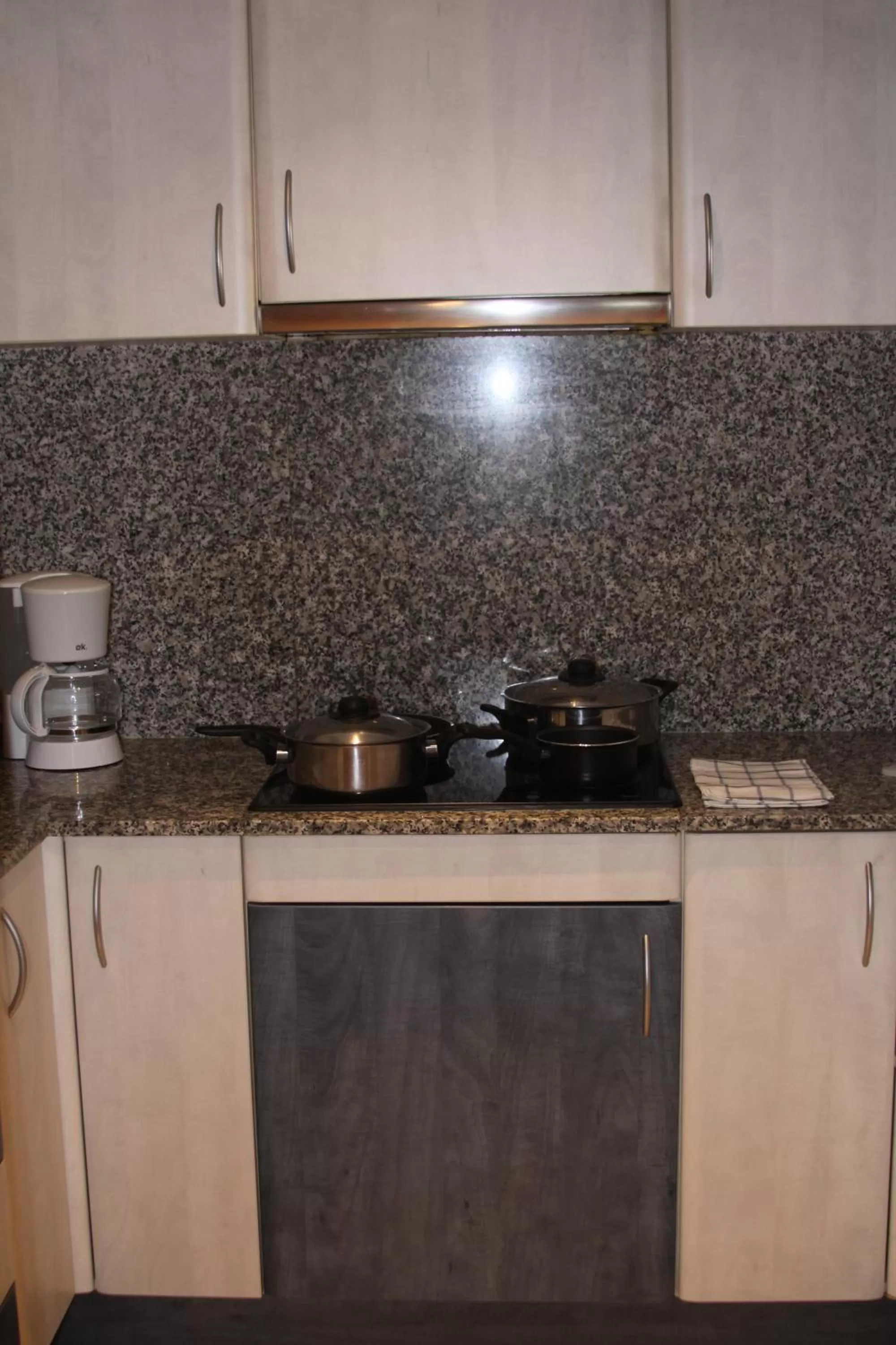 Kitchen or kitchenette in Aparthotel Marsol