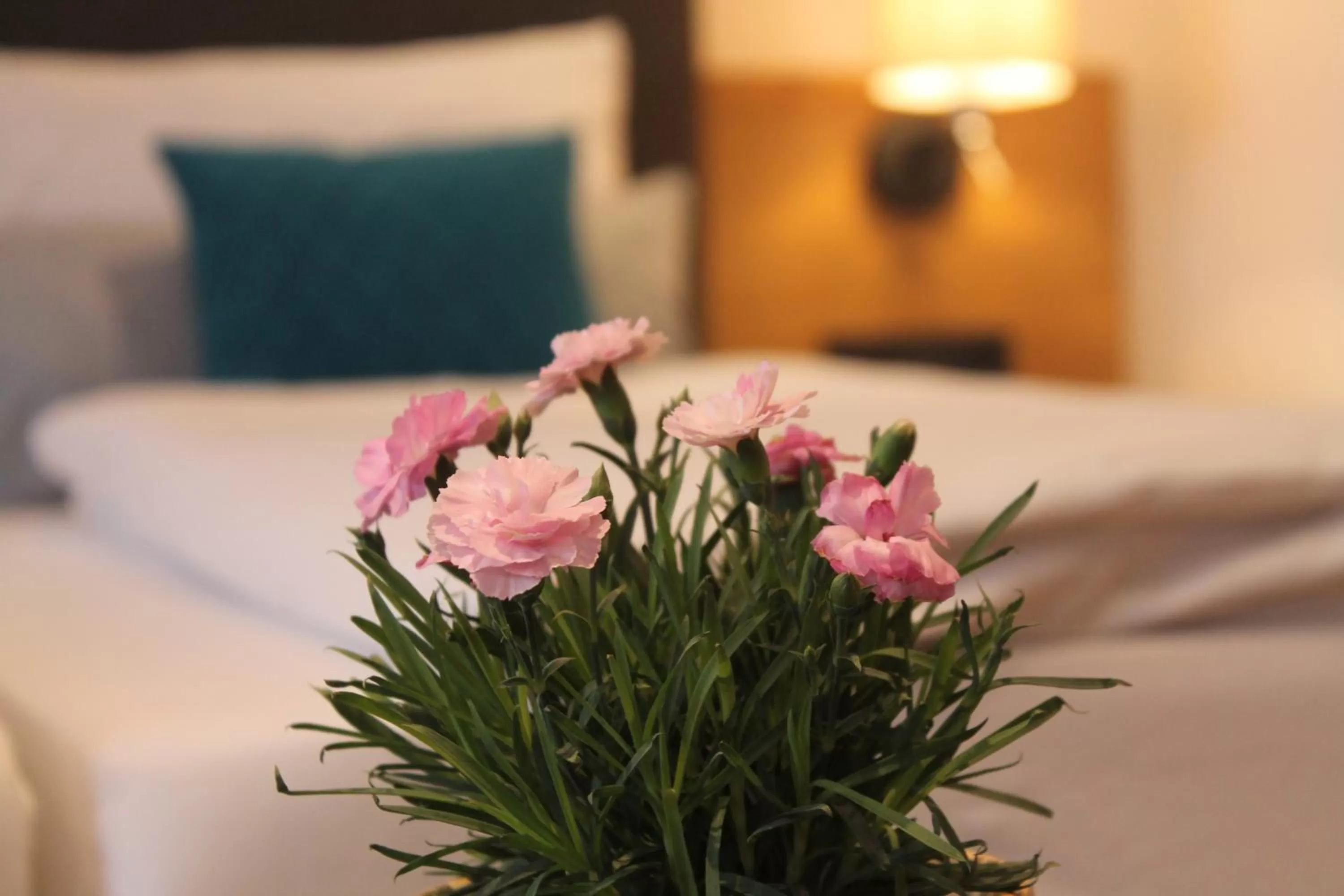 Photo of the whole room, Bed in Gasthaus Steidl