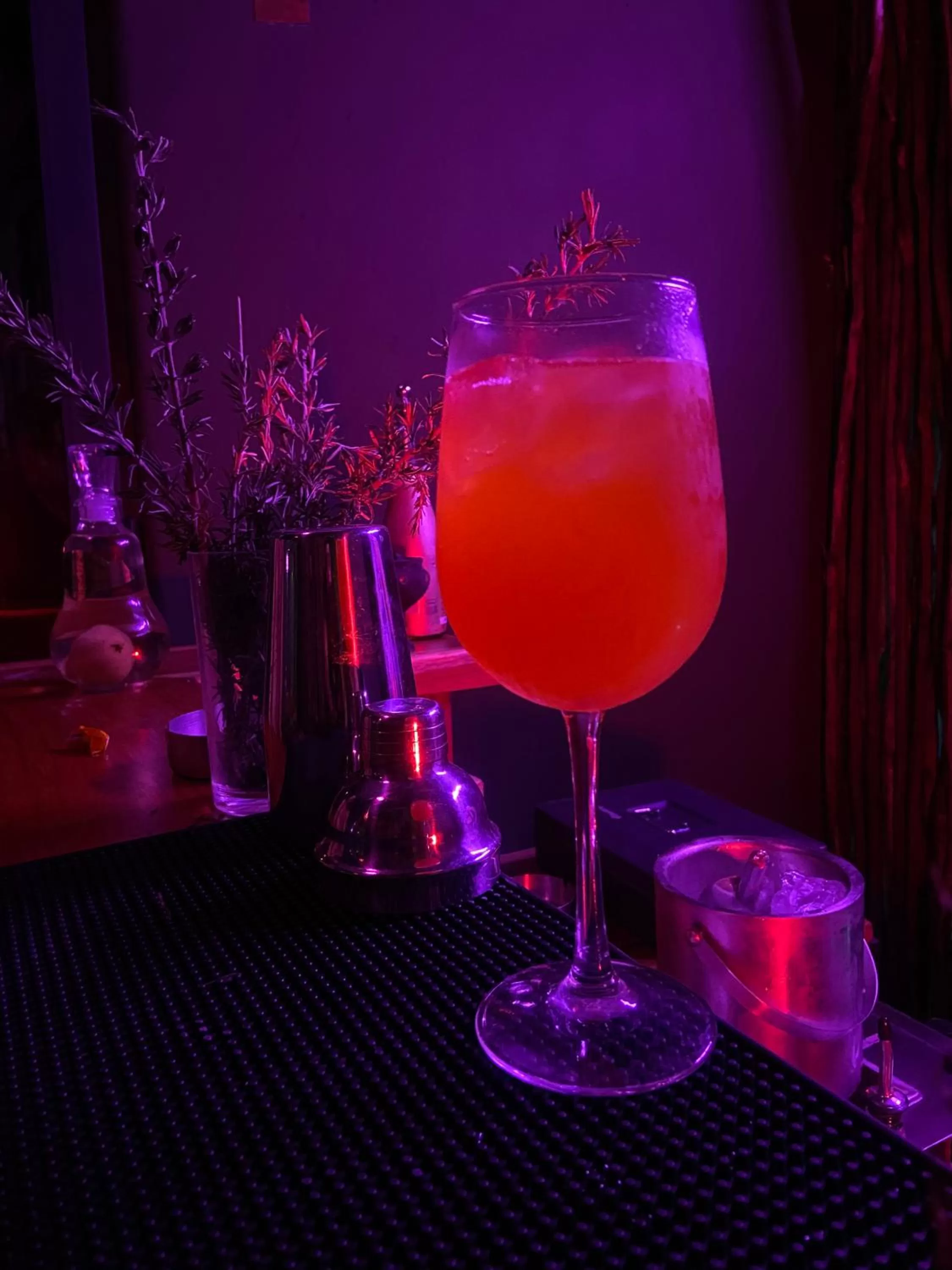 Lounge or bar in Loba Tulum Male Only