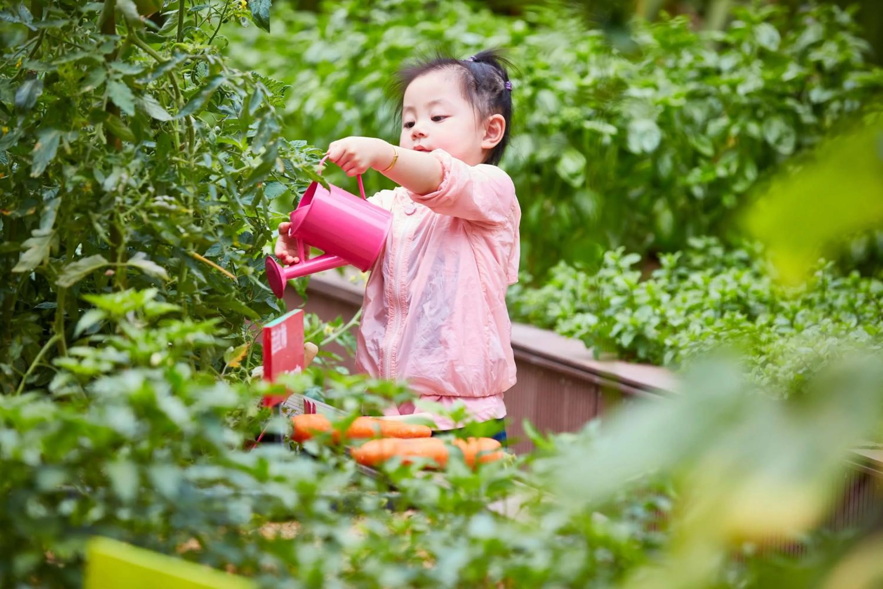 On site in Grand Hyatt Sanya Haitang Bay Resort and Spa
