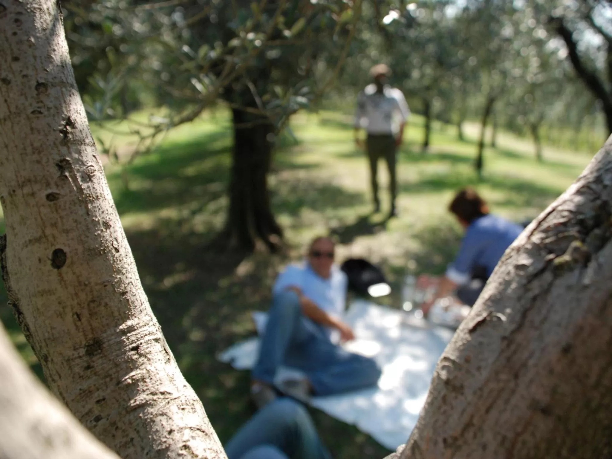 Activities in Alice Relais Nelle Vigne