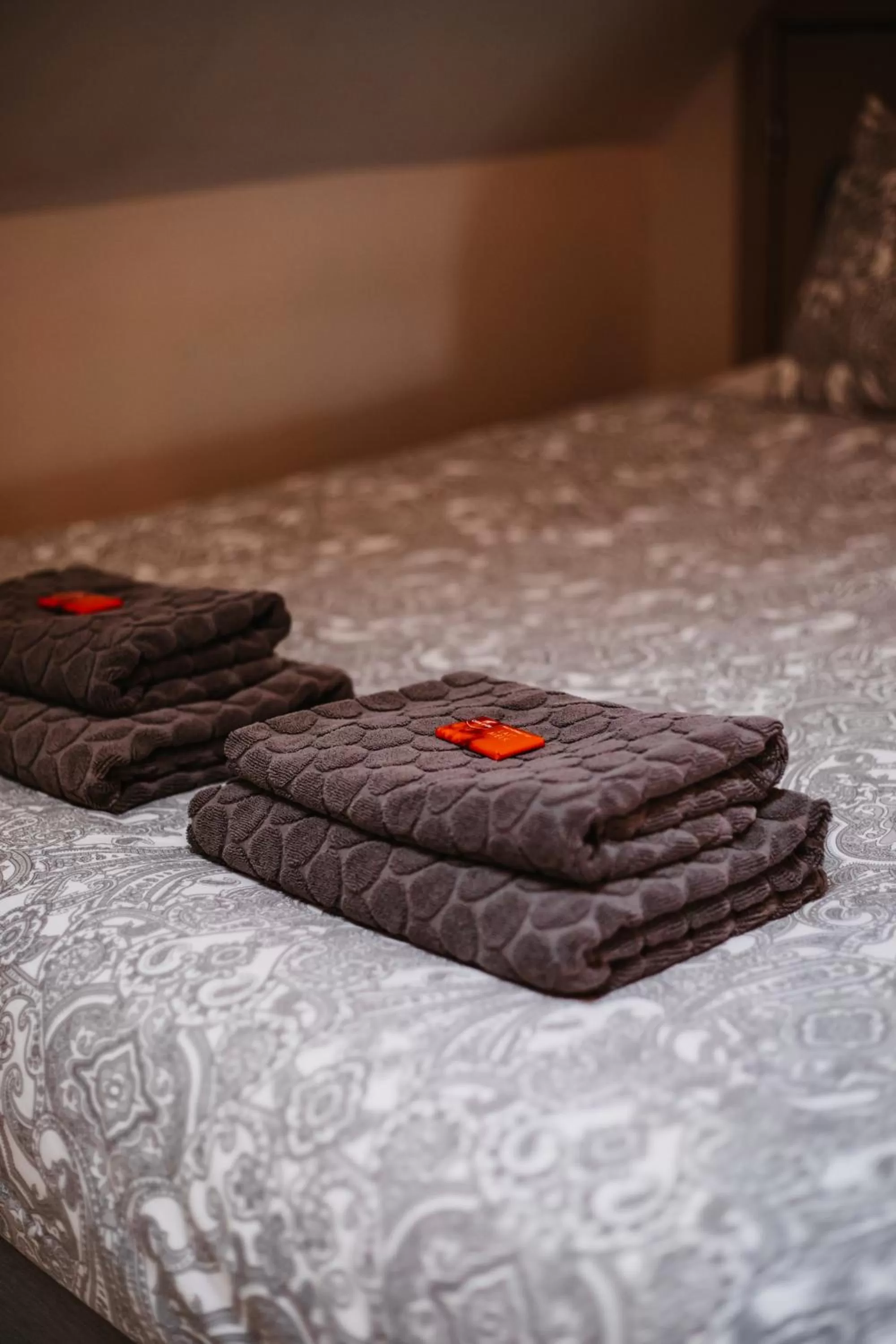 Bed in Super central in Brussels