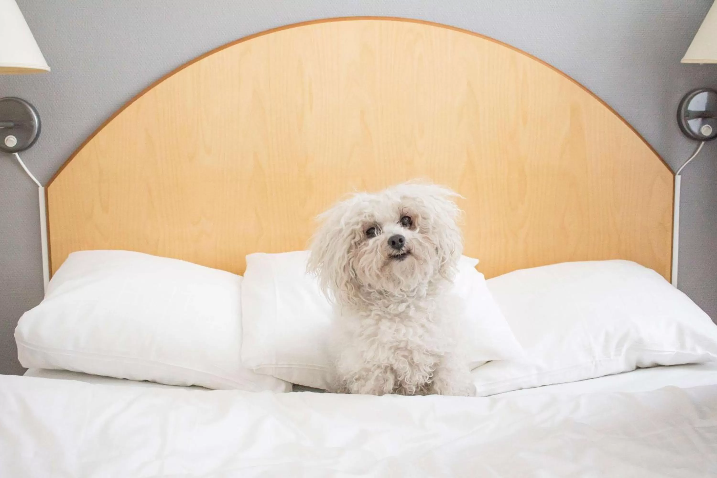 Photo of the whole room, Bed in Best Western Eurostop Orebro