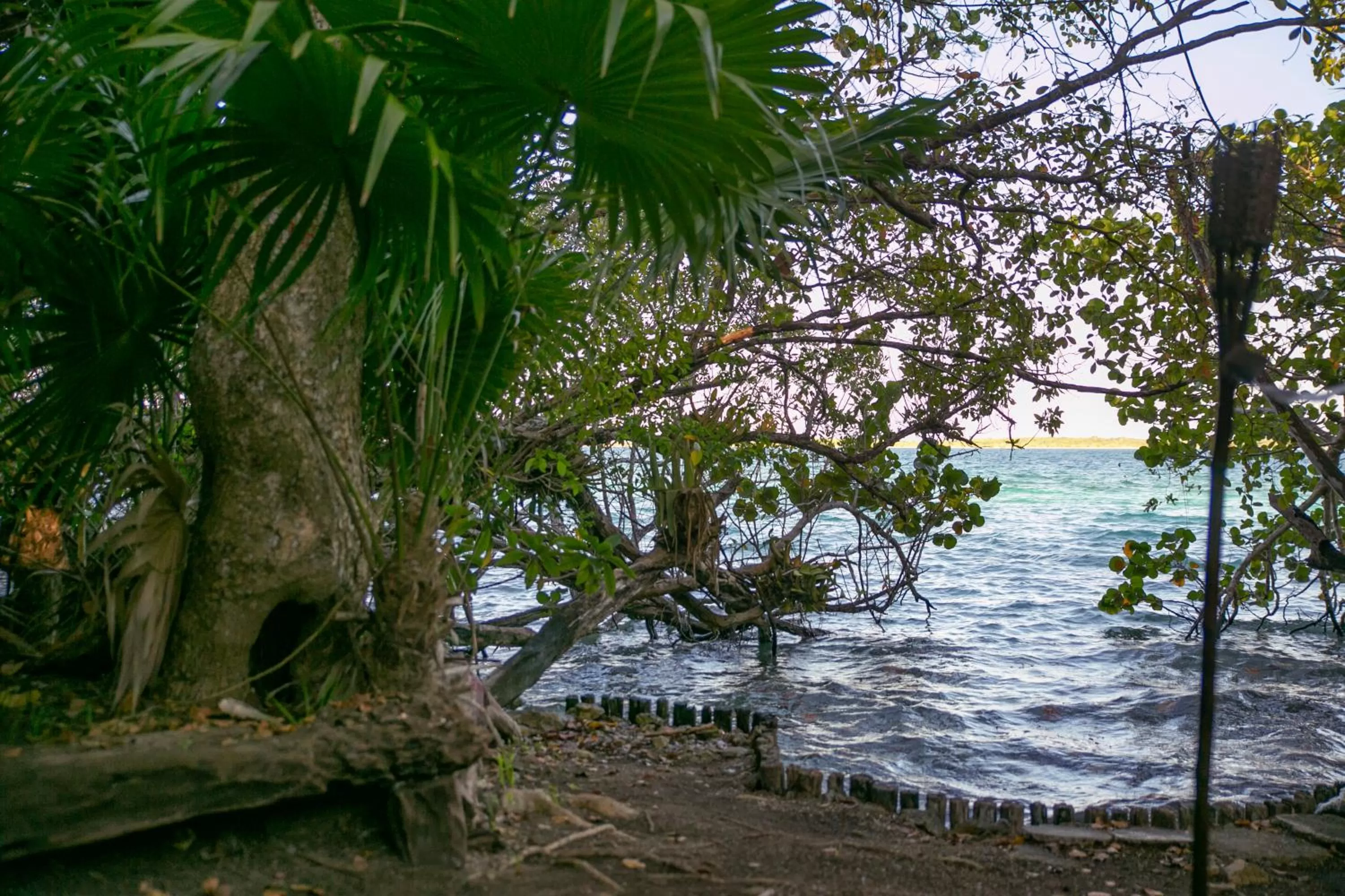 Natural landscape in Hotel Buenavista Bacalar Jungle Experience