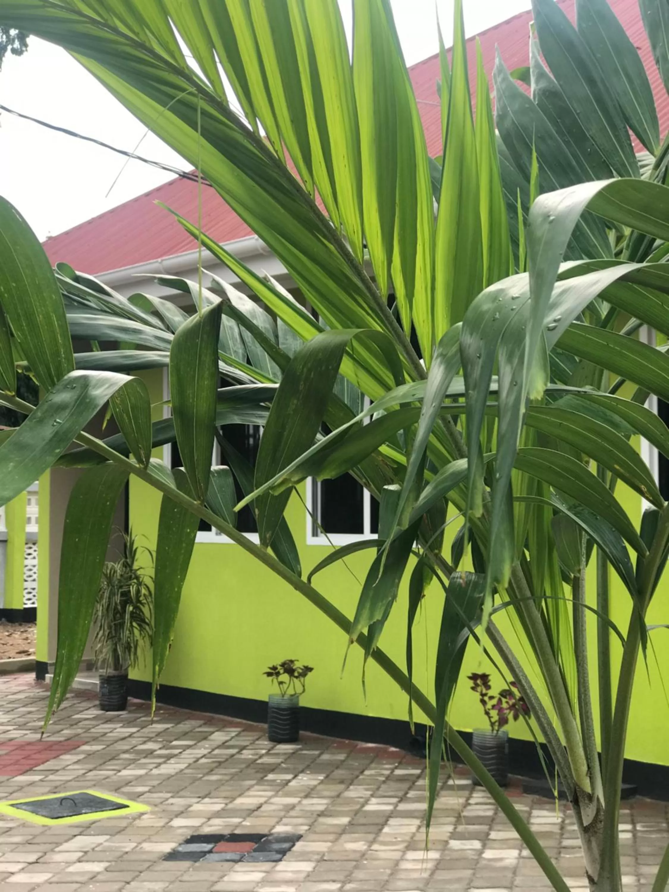 Property building in L&J Modern Backpackers Kinondoni