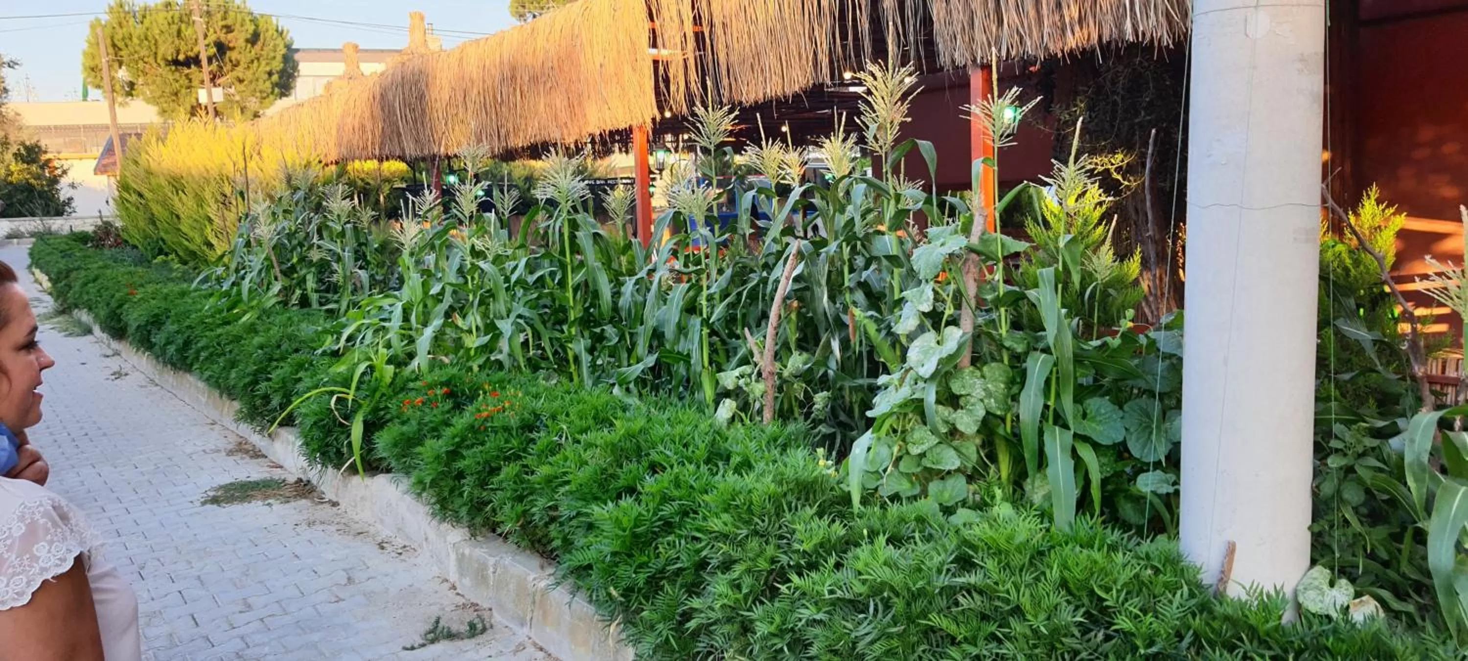 Garden in Grand Yayla Hotel