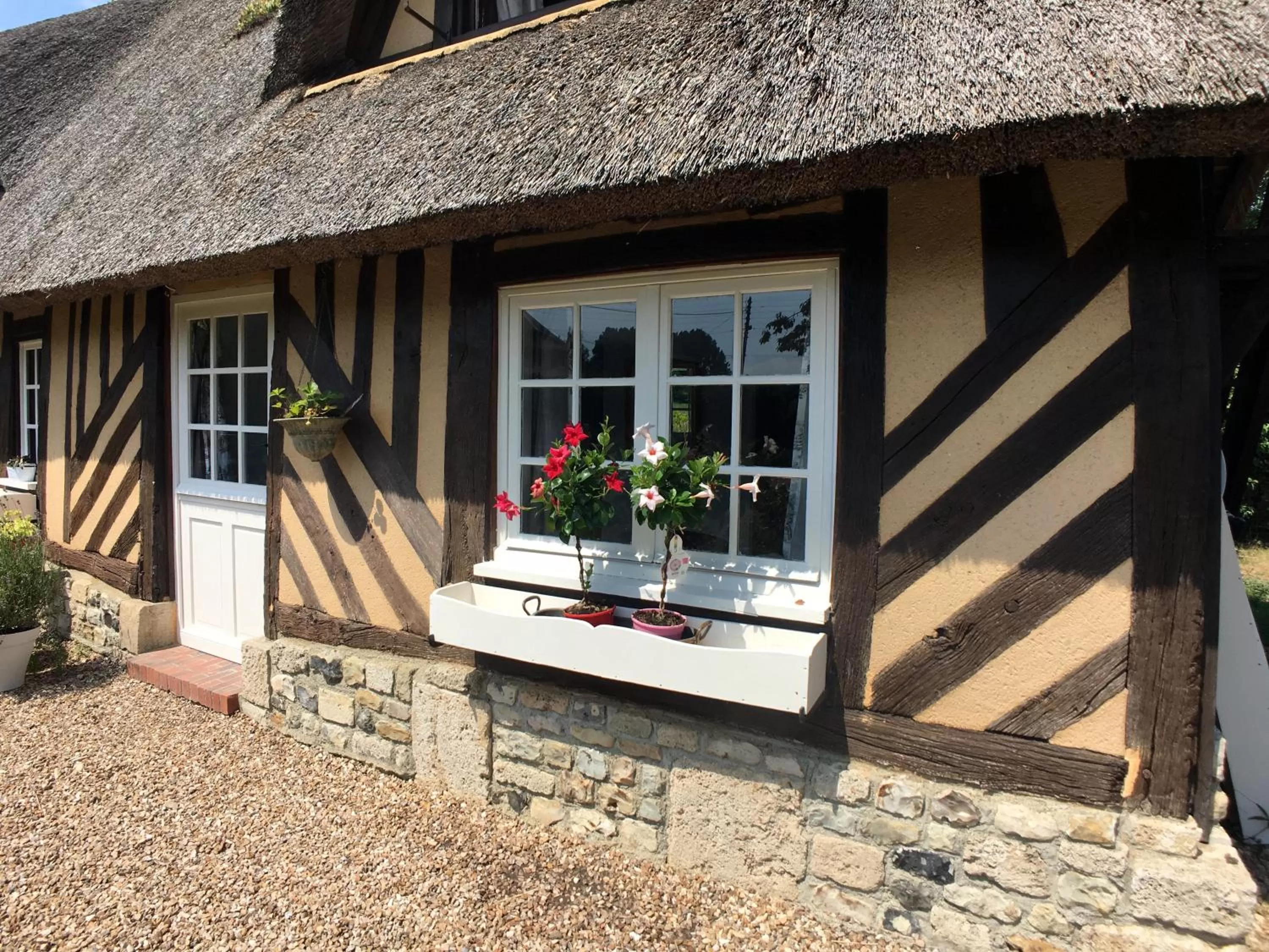 Garden view in La Romance et la Romanesque