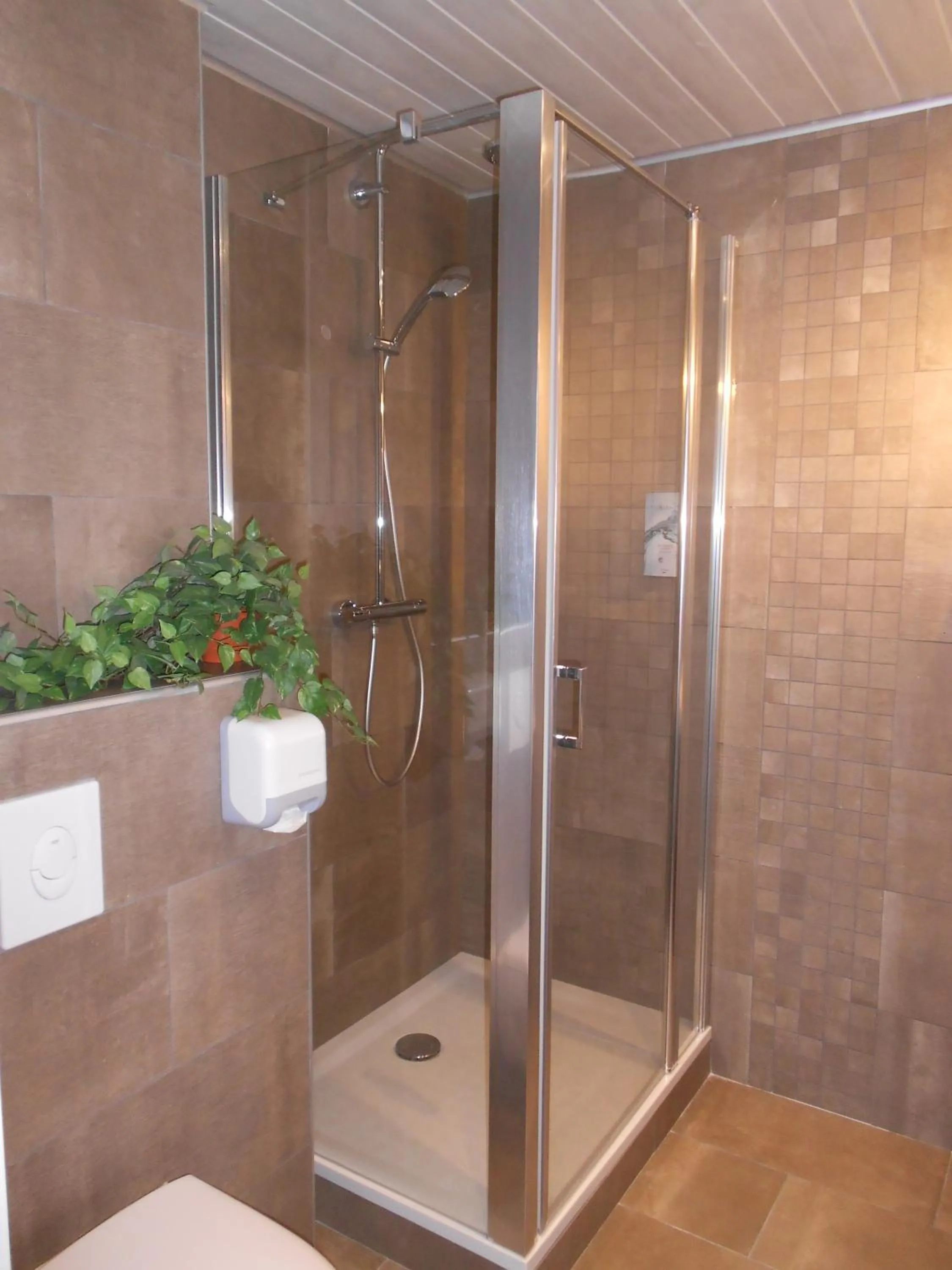 Pets in Cit'Hotel Avantici Gap